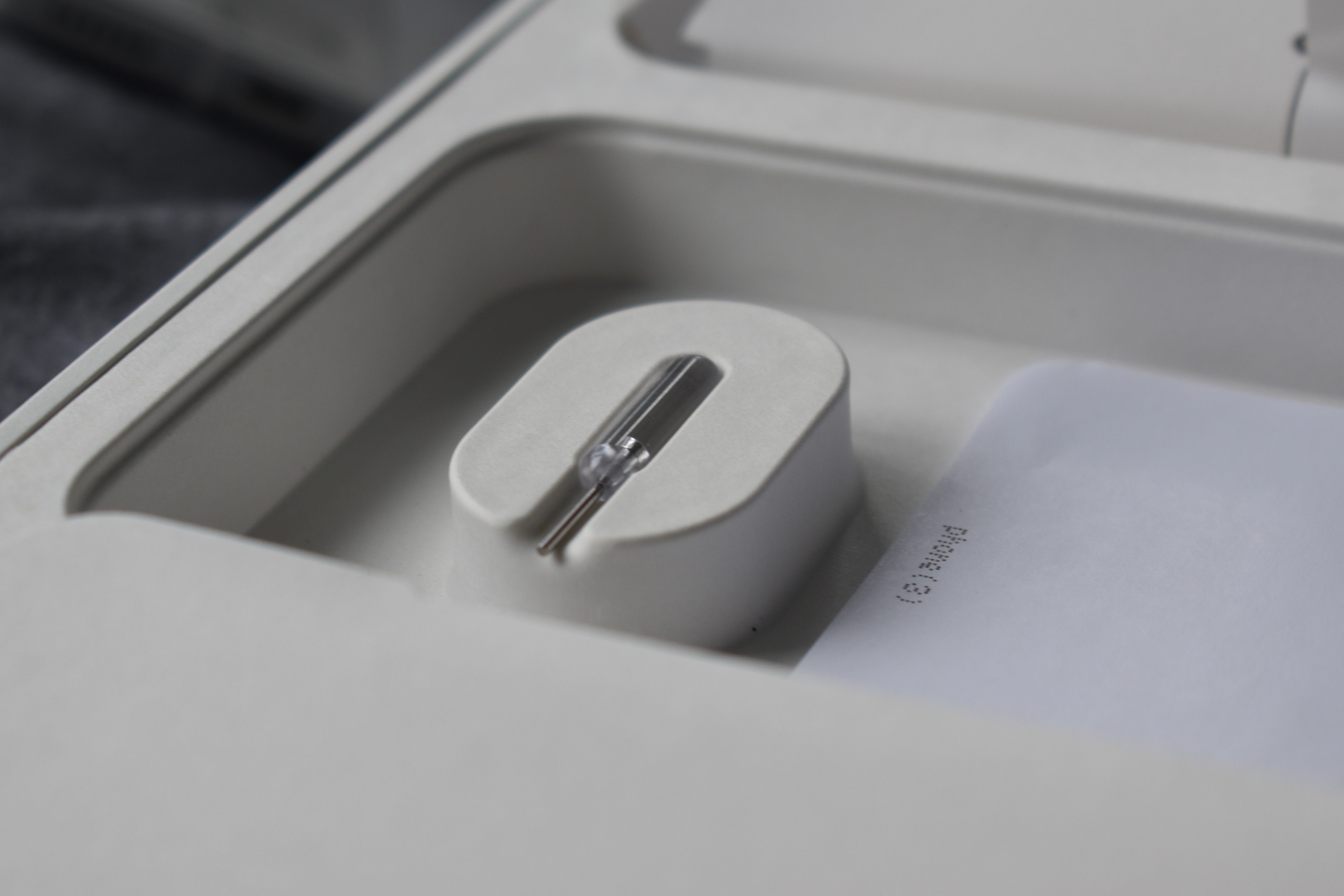 dsc-0487.jpg {banner}