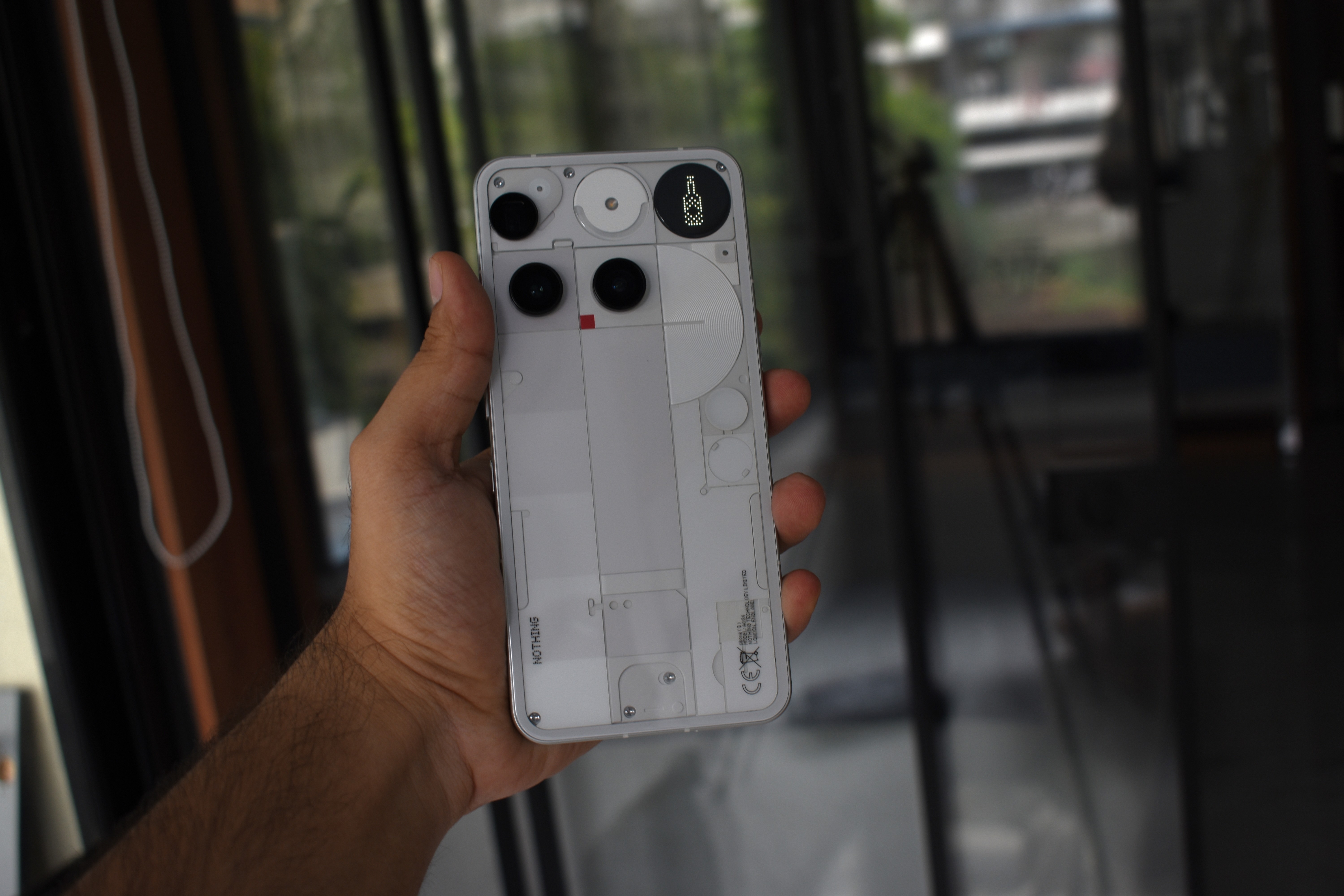 dsc-0448.jpg {banner}