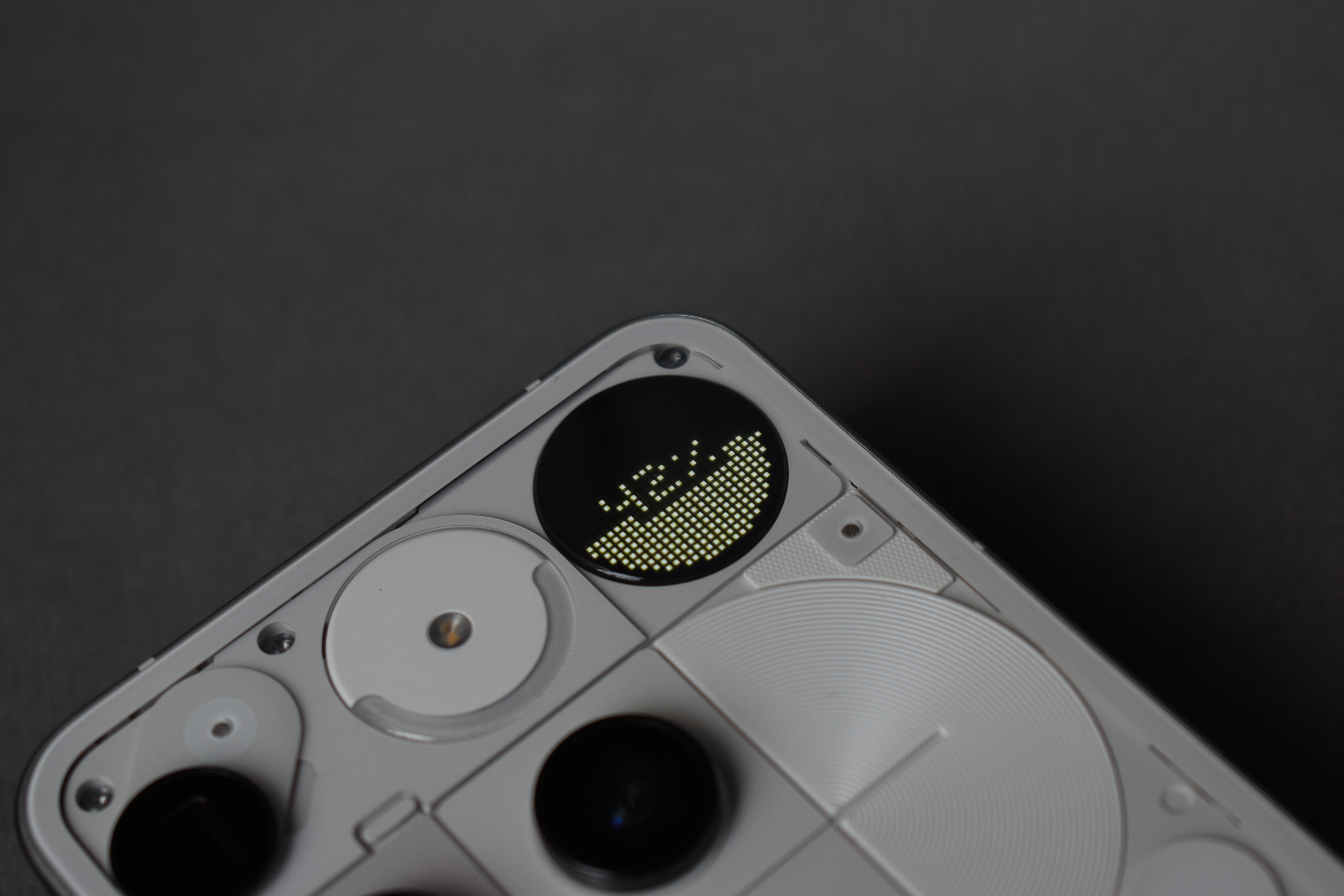 dsc-0530.jpg {banner}