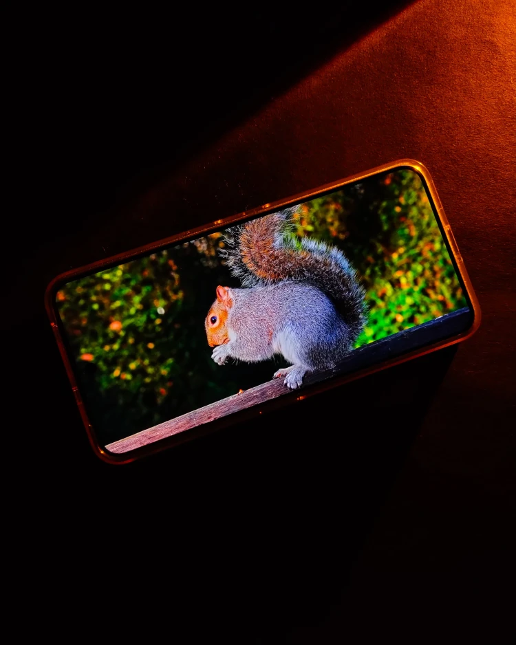 img20250812190941.jpg {banner}
