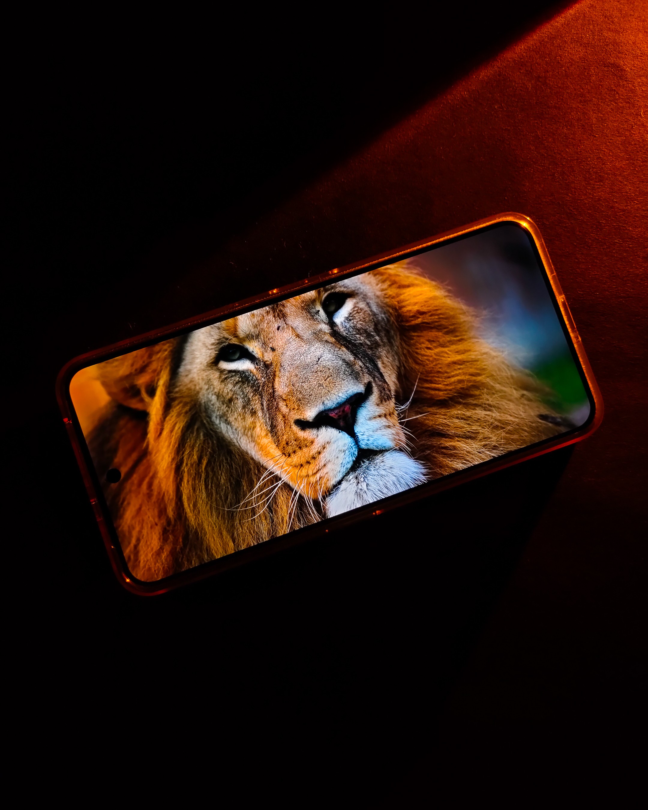 img20250812190810.jpg {banner}