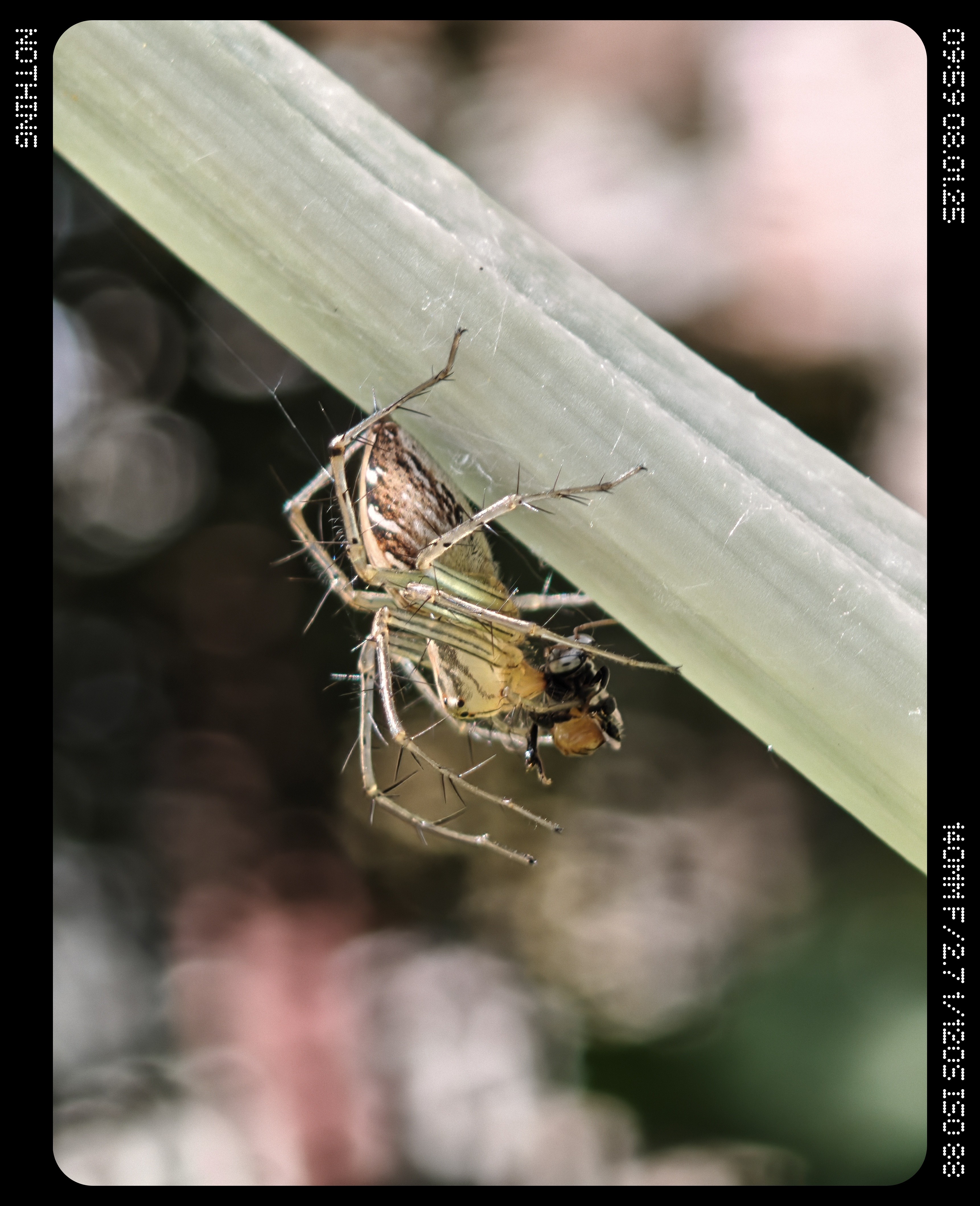 img-20250801-095901235.jpg {TEXT}