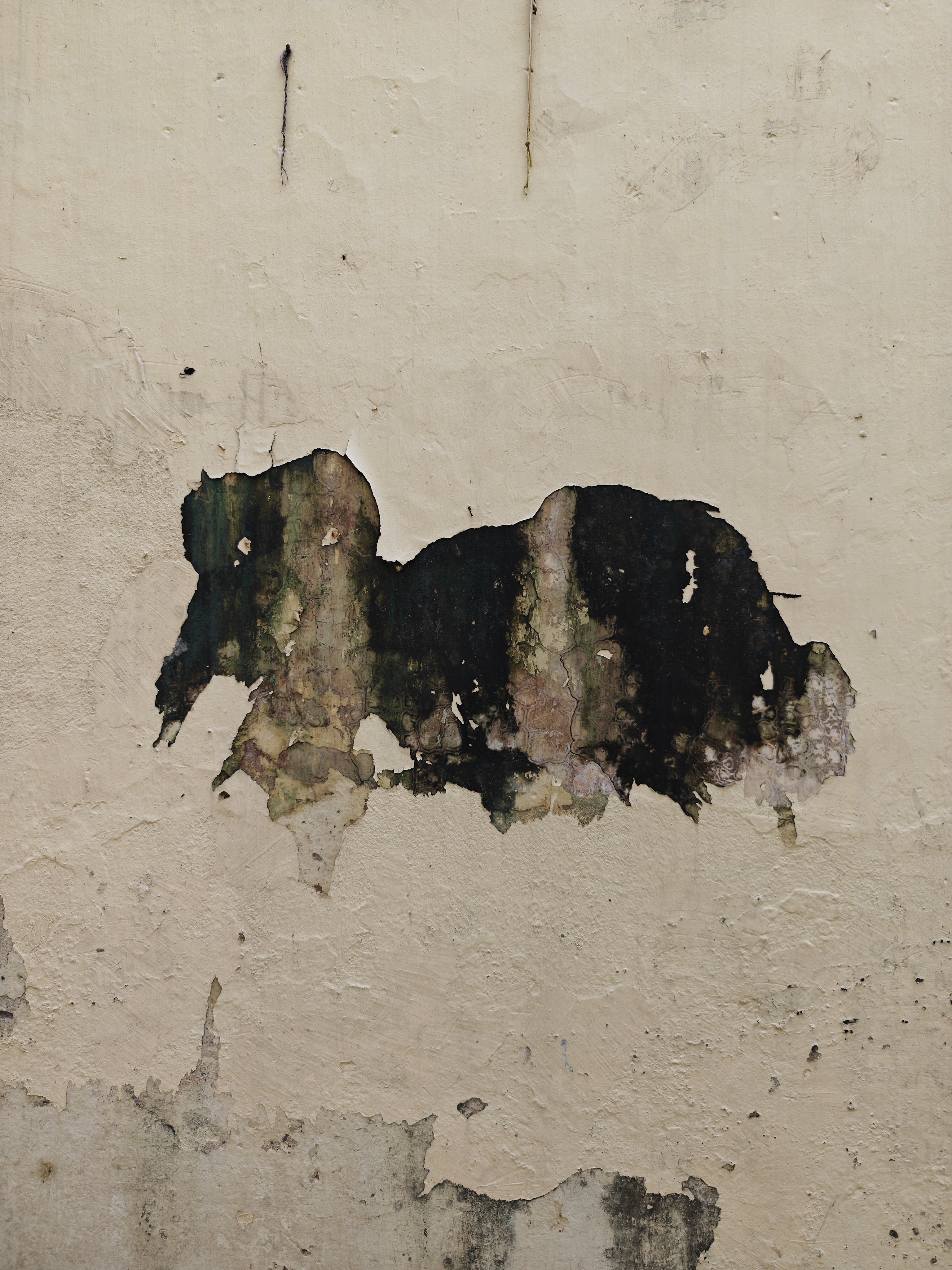 img-20250815-064938981.jpg {banner}