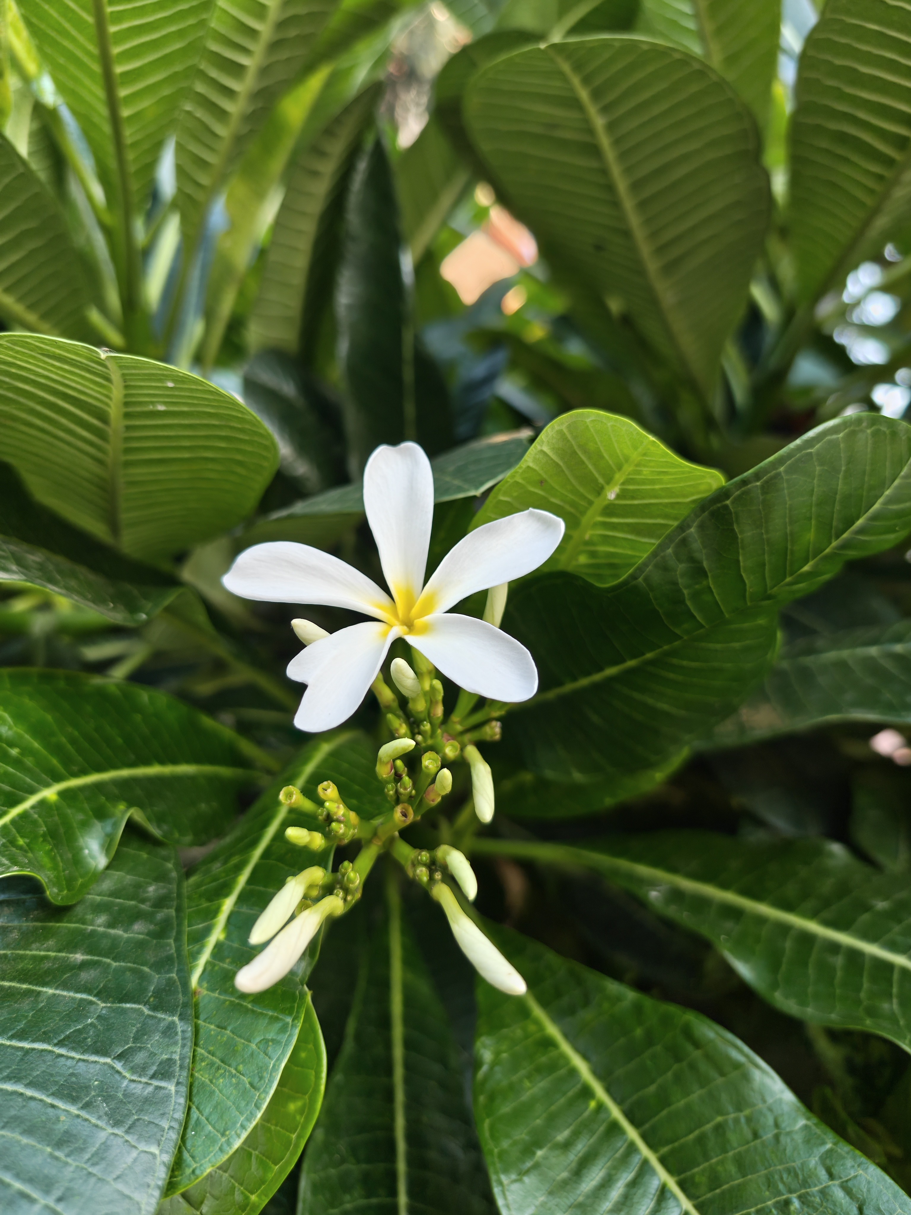 img-20250815-172253361-1.jpg {banner}