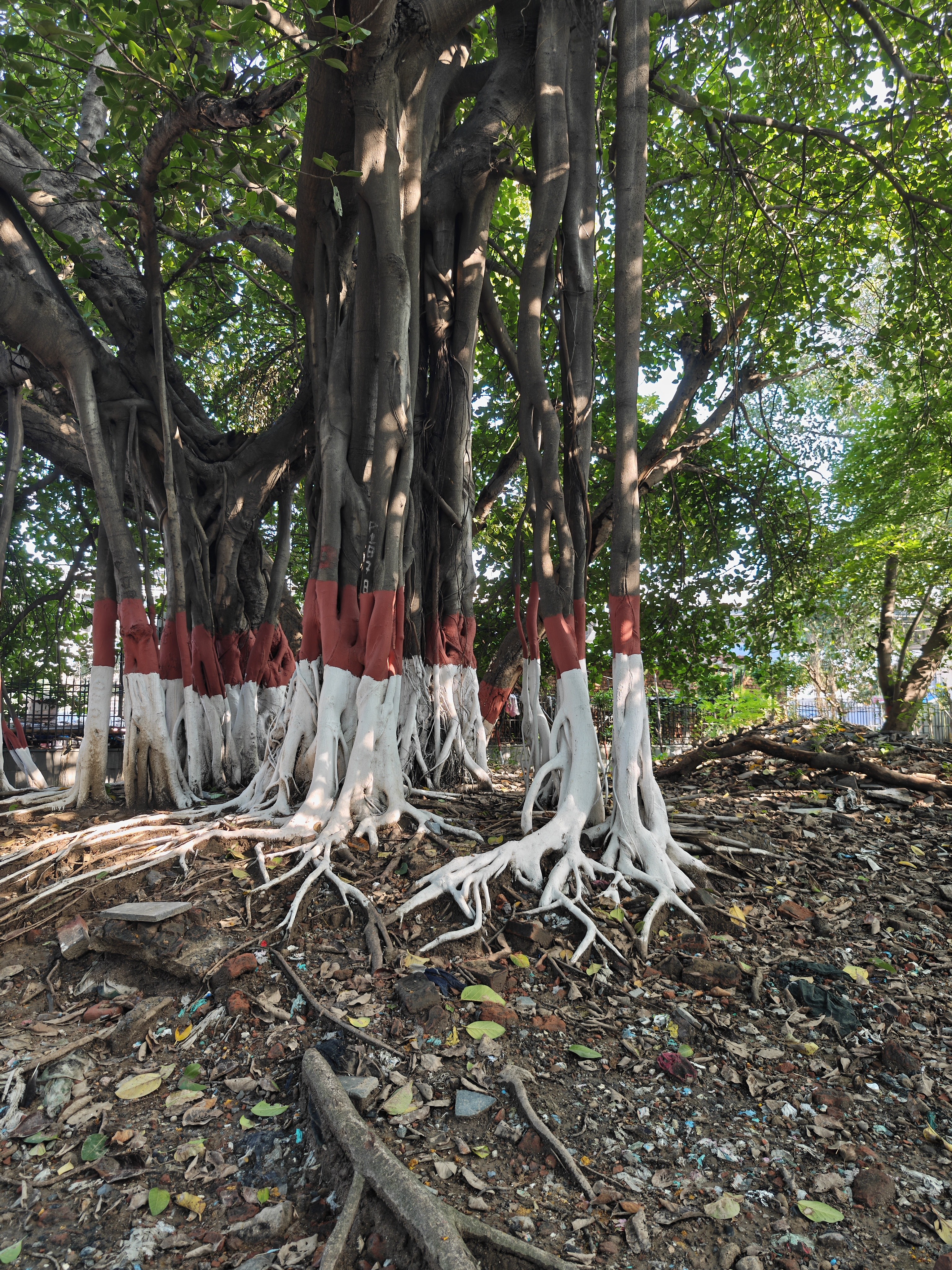 img-20250814-161403432.jpg {banner}