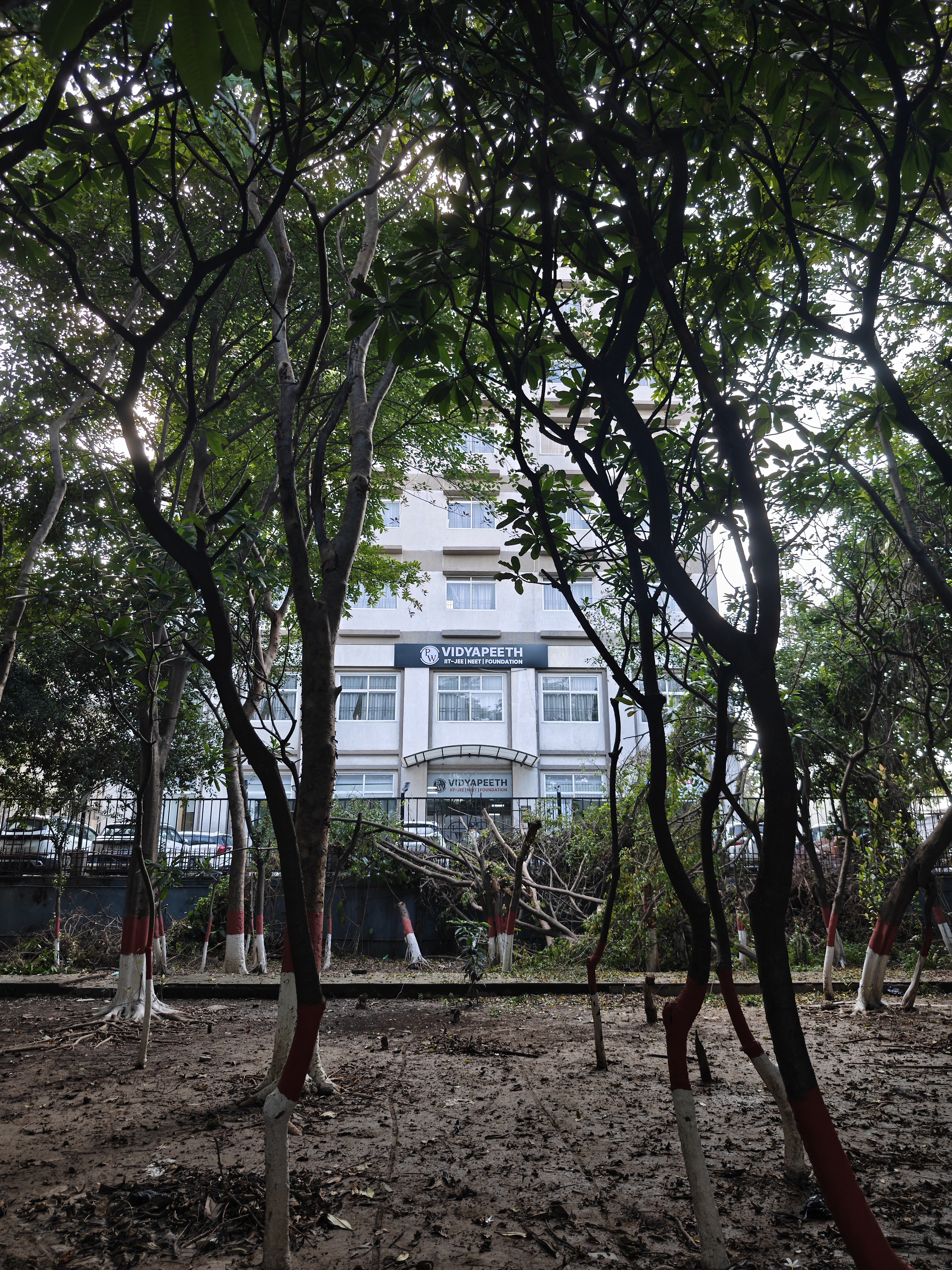 img-20250814-155743157.jpg {banner}