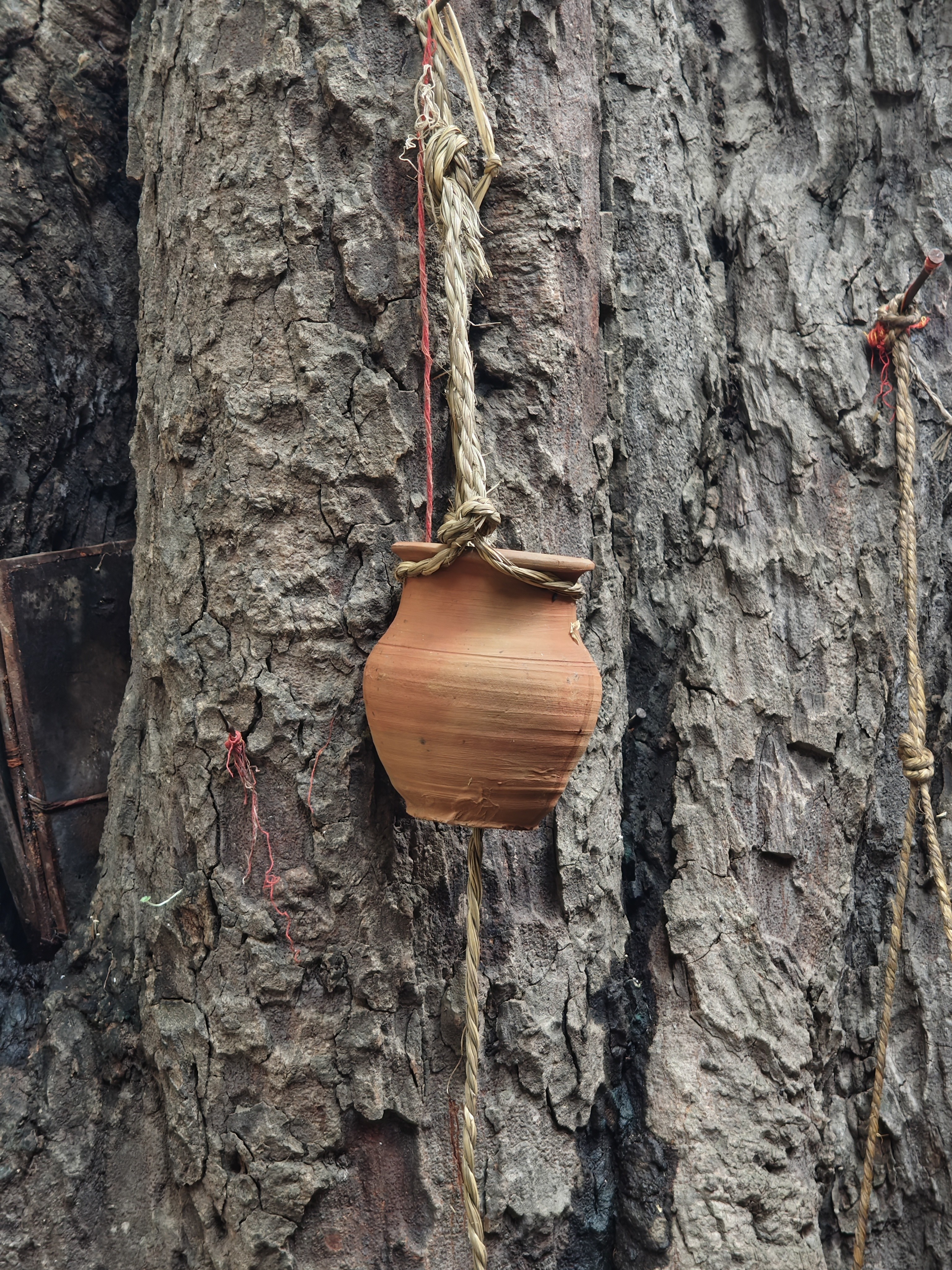 img-20250815-070019197.jpg {banner}