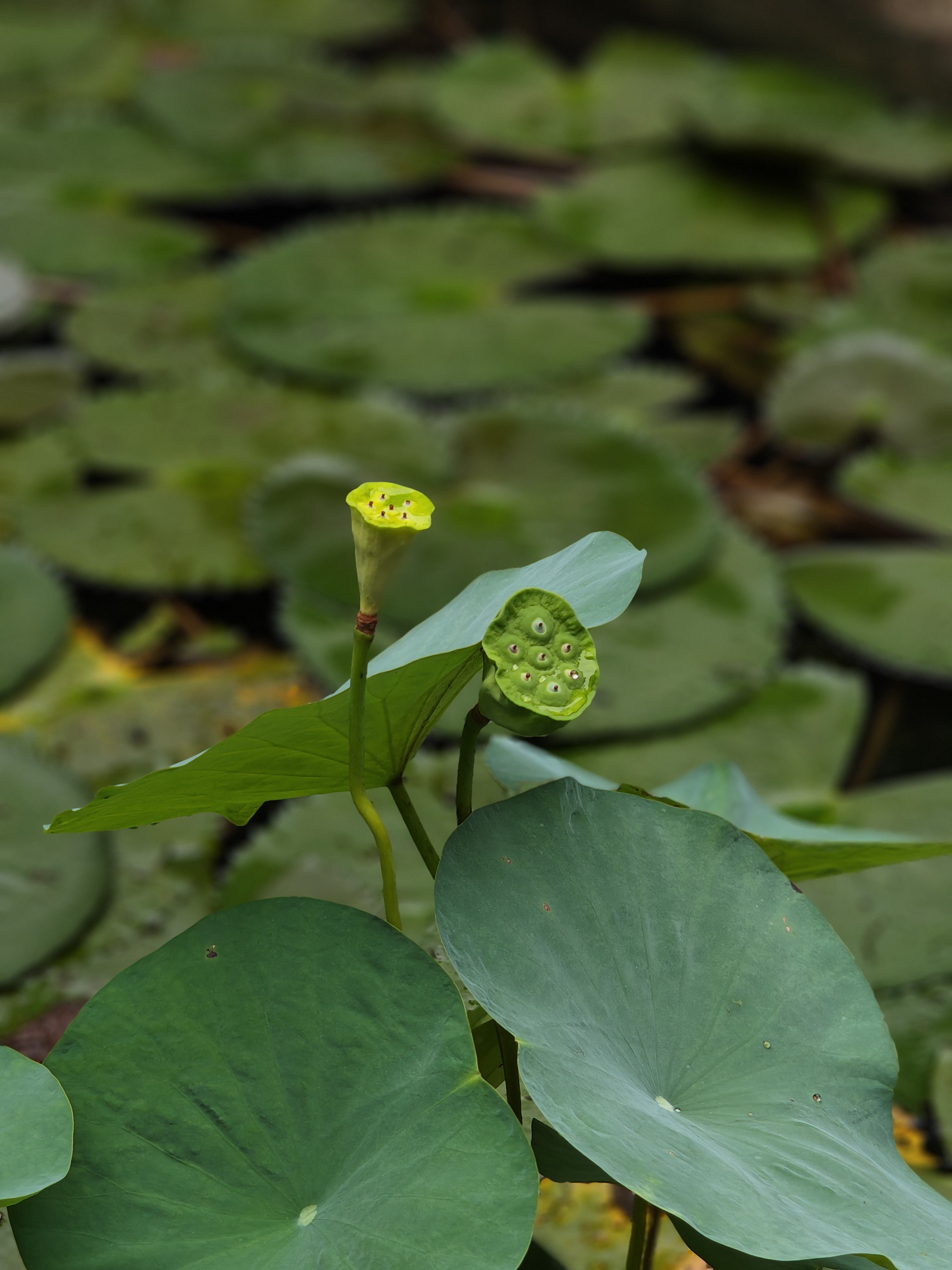 img-20250802-145630686.jpg {banner}