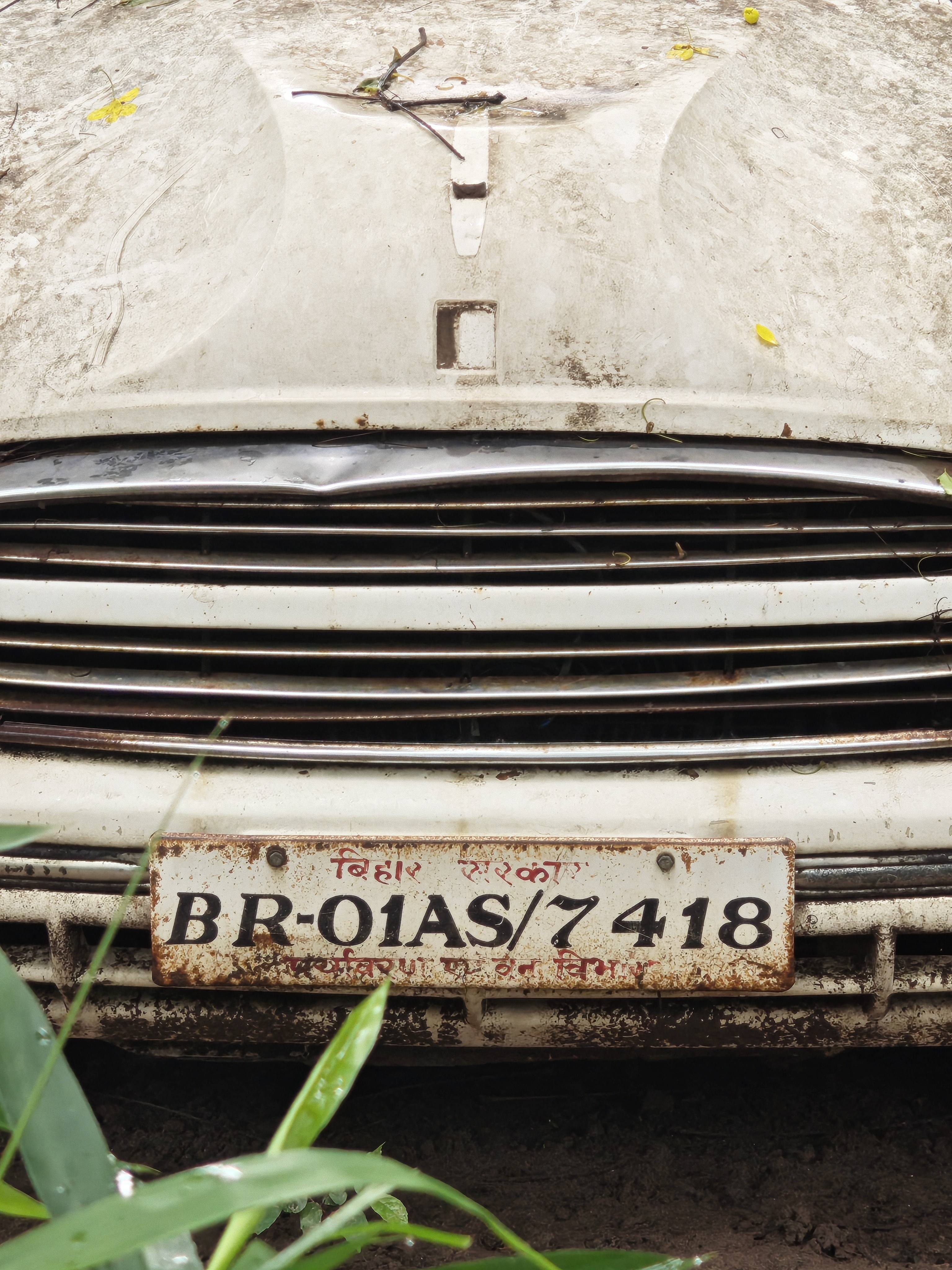 img-20250802-151633710.jpg {banner}