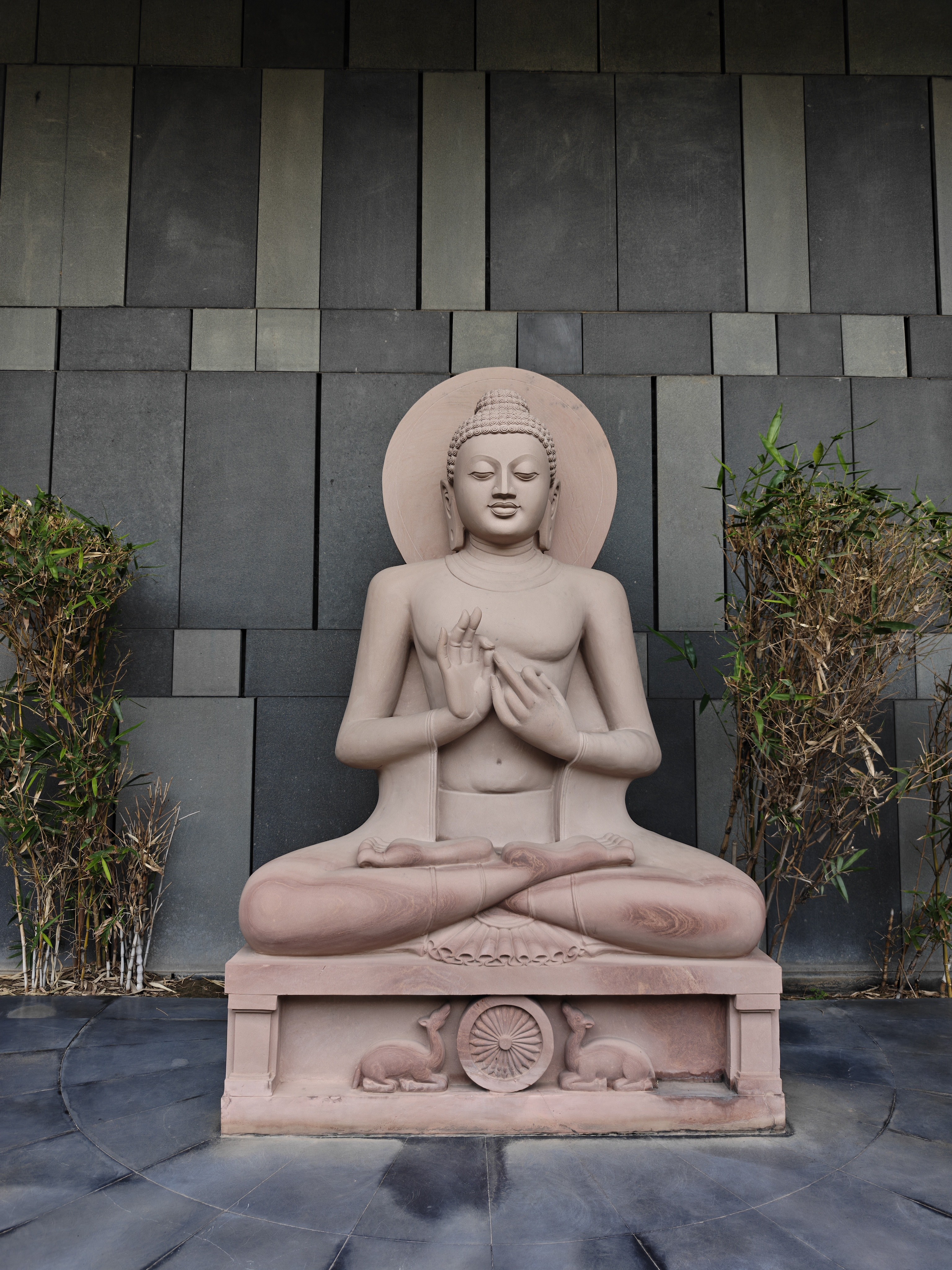 img-20250814-161705963.jpg {banner}