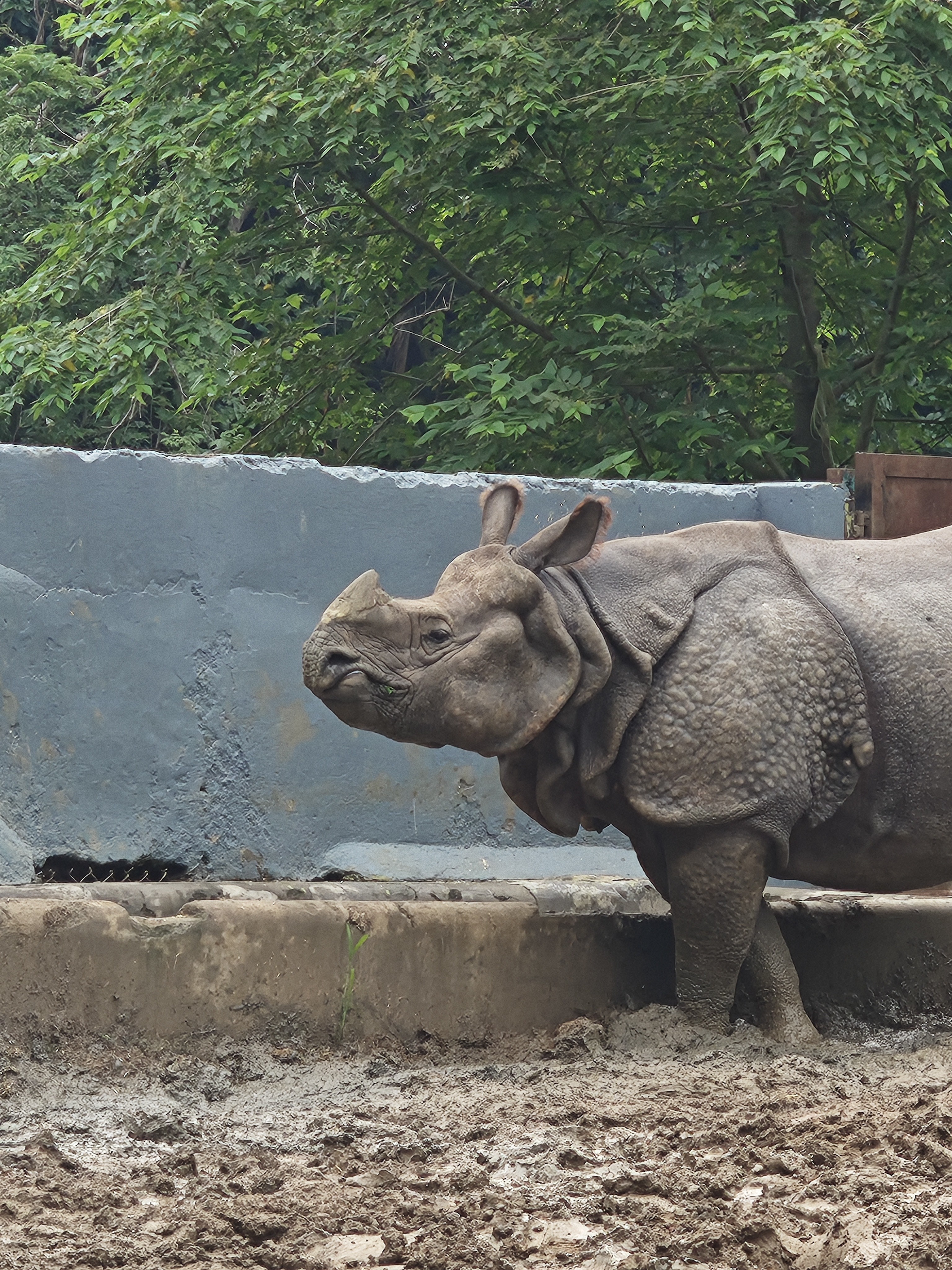 img-20250802-164802828.jpg {banner}