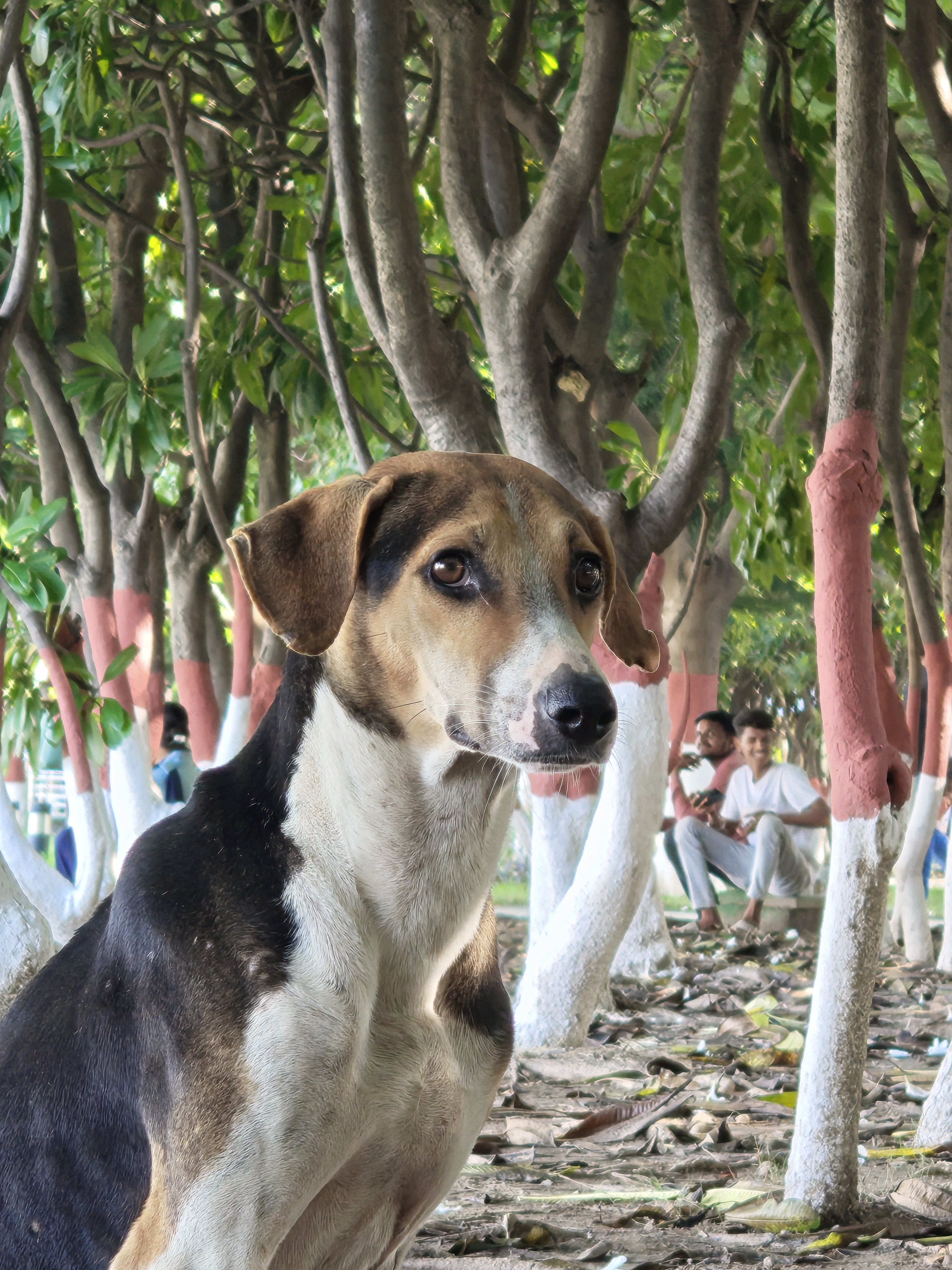 img-20250814-154904705.jpg {banner}