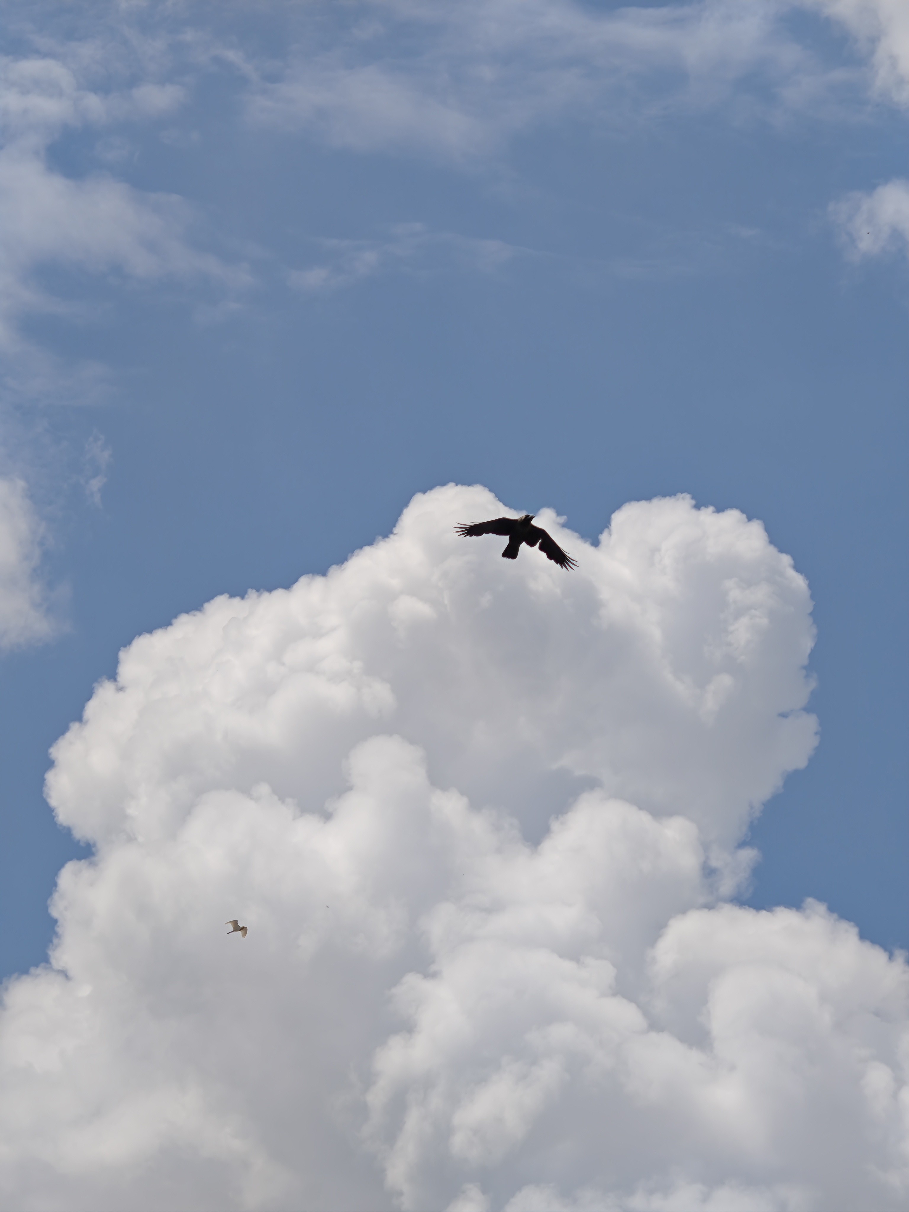 img-20250814-133310466.jpg {banner}