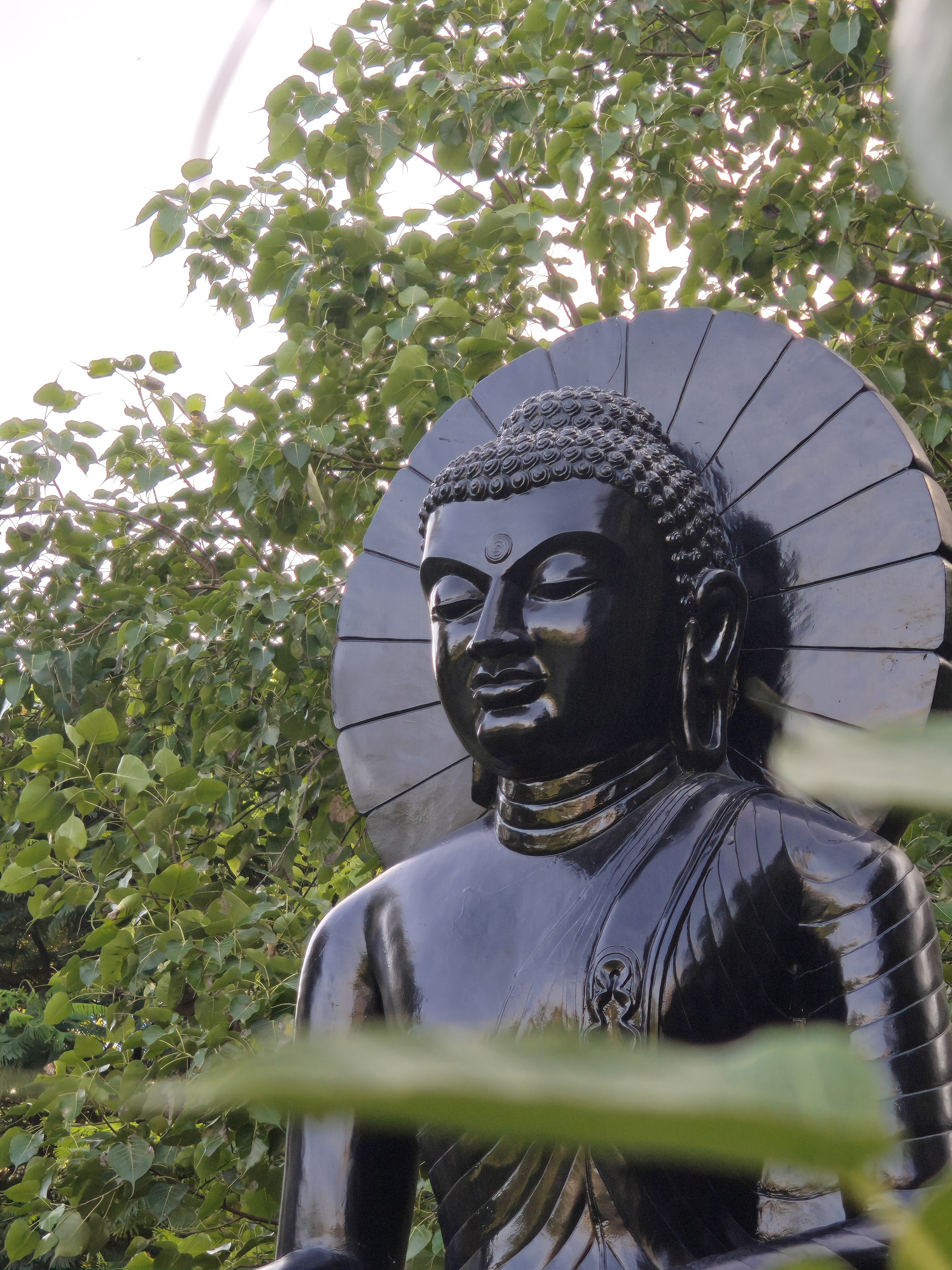 img-20250814-165038832.jpg {banner}