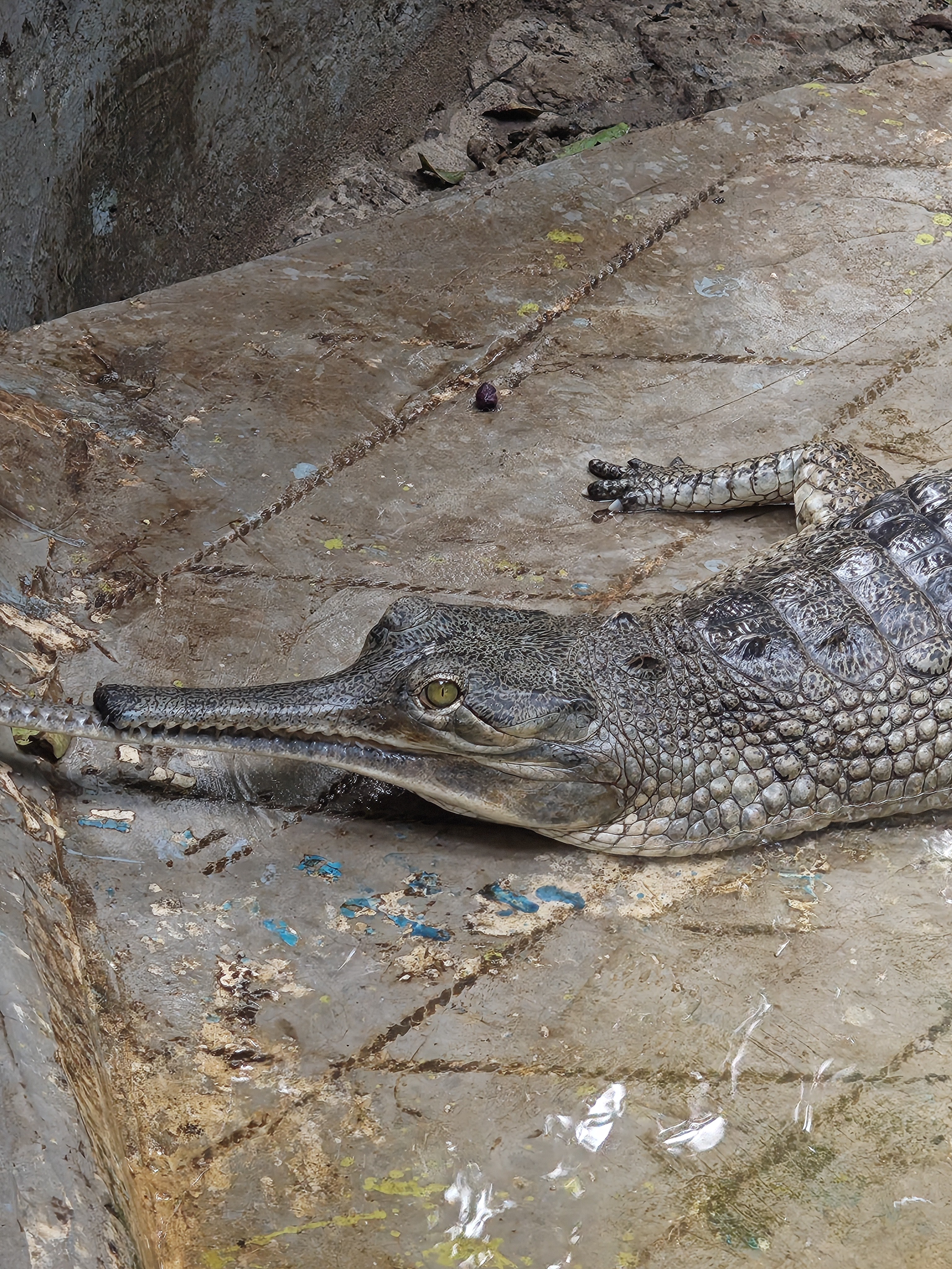 img-20250802-171305262.jpg {banner}