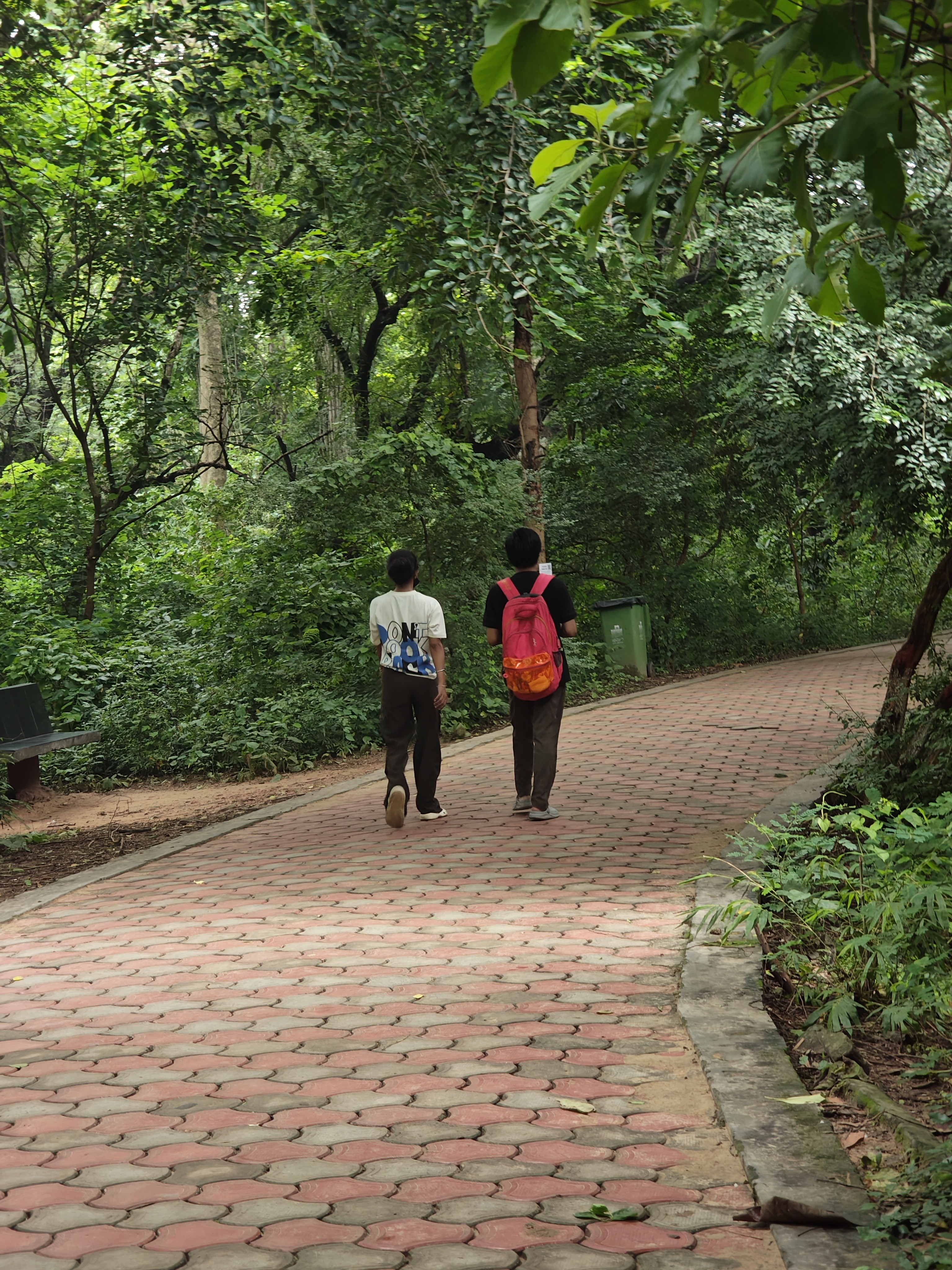 img-20250802-163049919.jpg {banner}