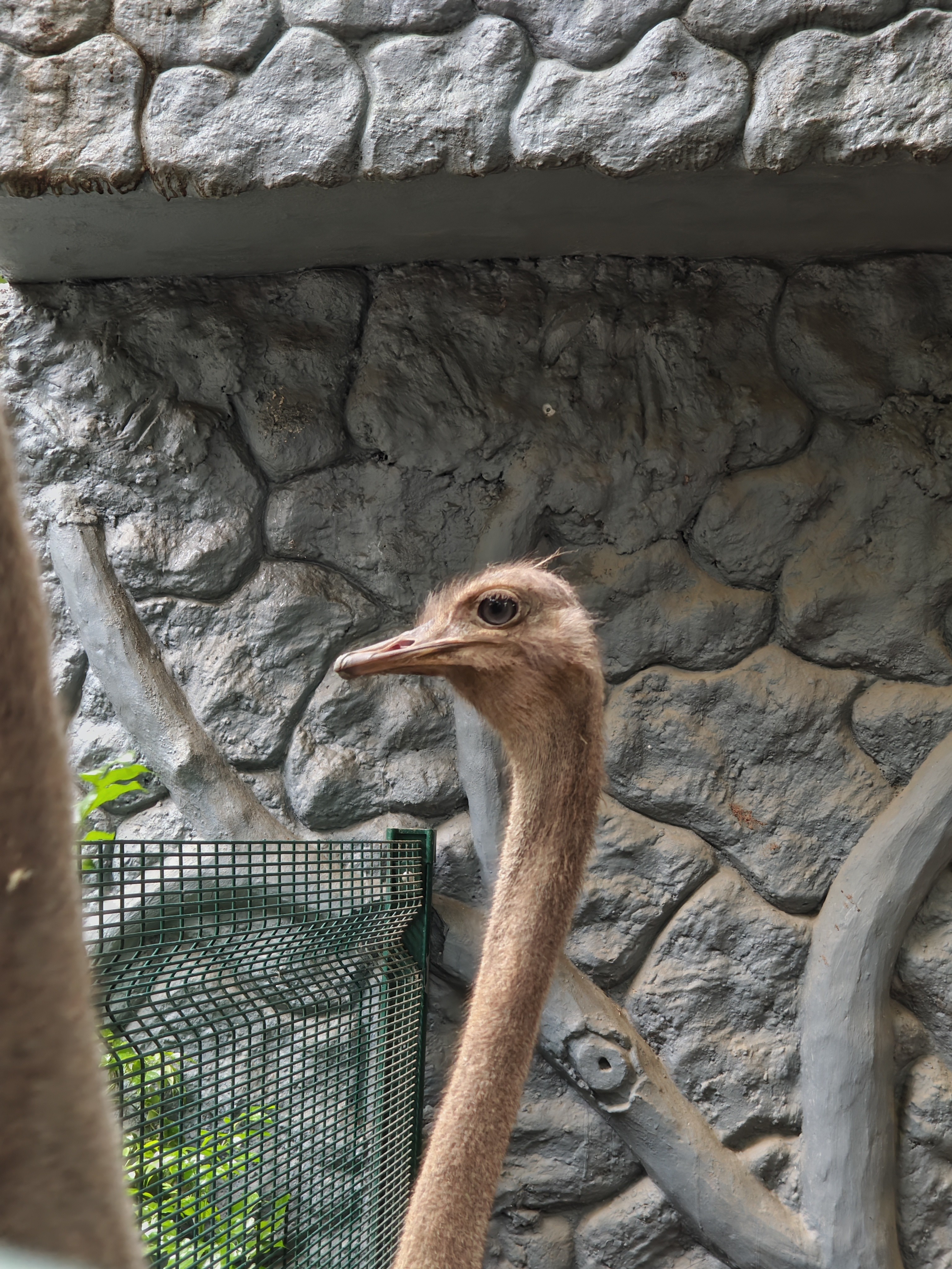 img-20250802-132837926.jpg {banner}