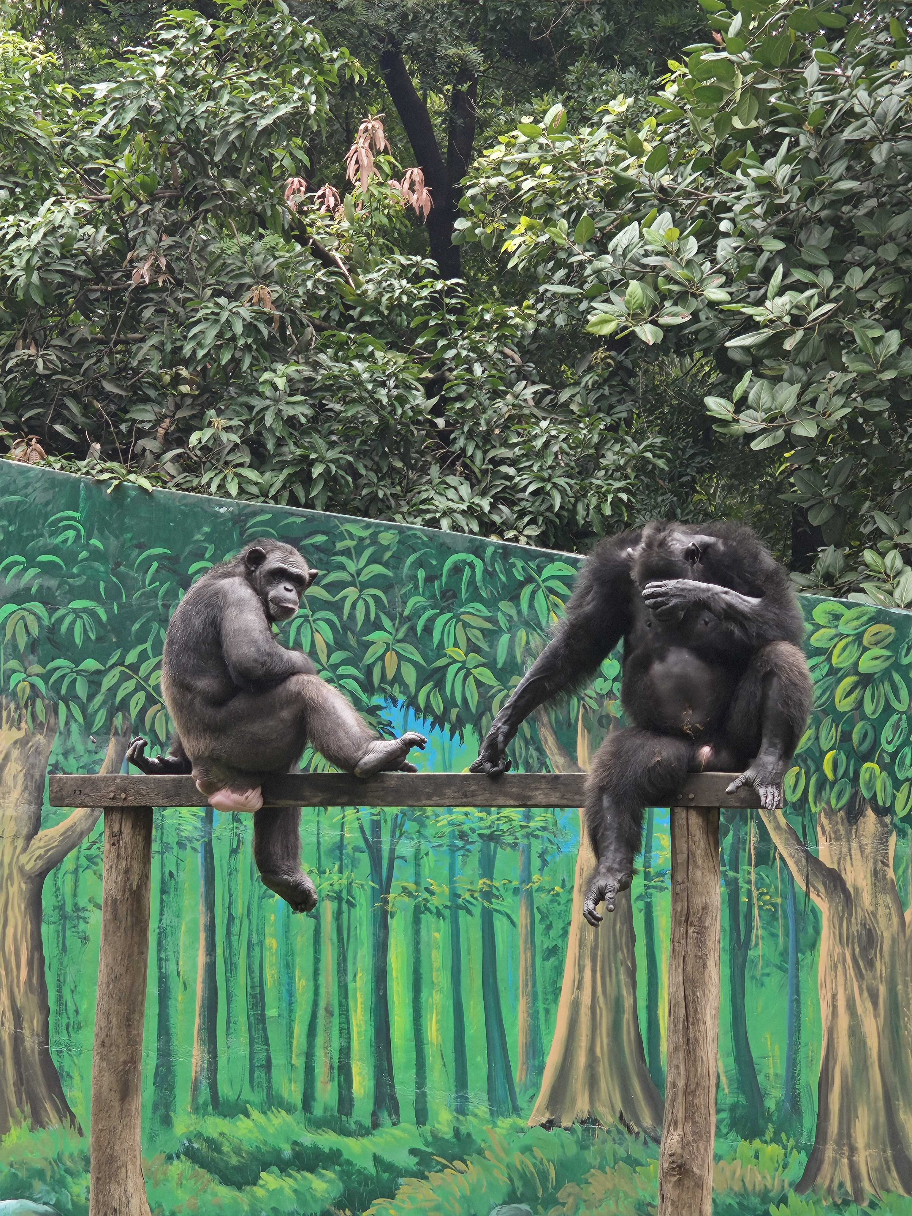 img-20250802-130917680.jpg {banner}