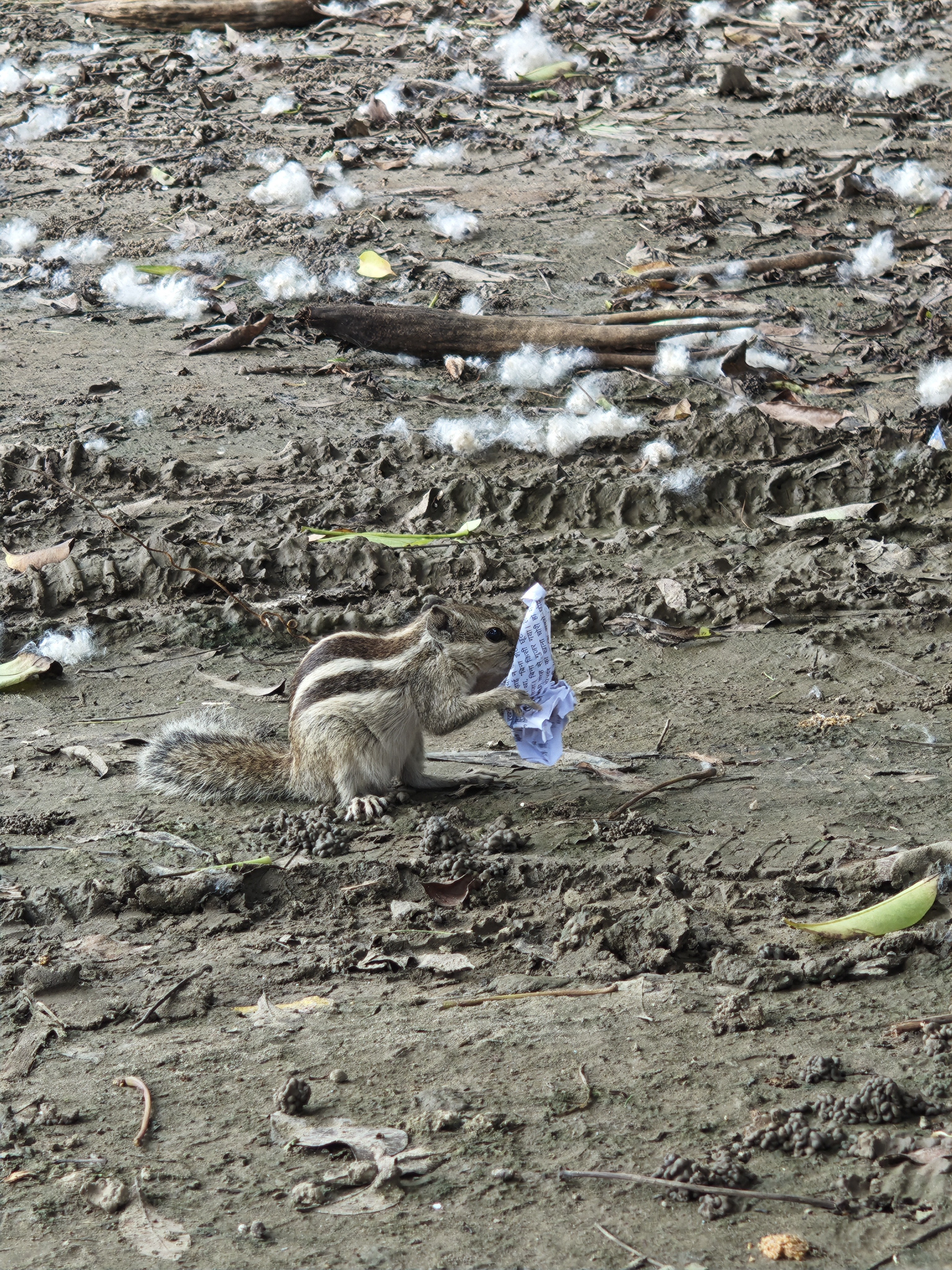 img-20250815-105016366.jpg {banner}