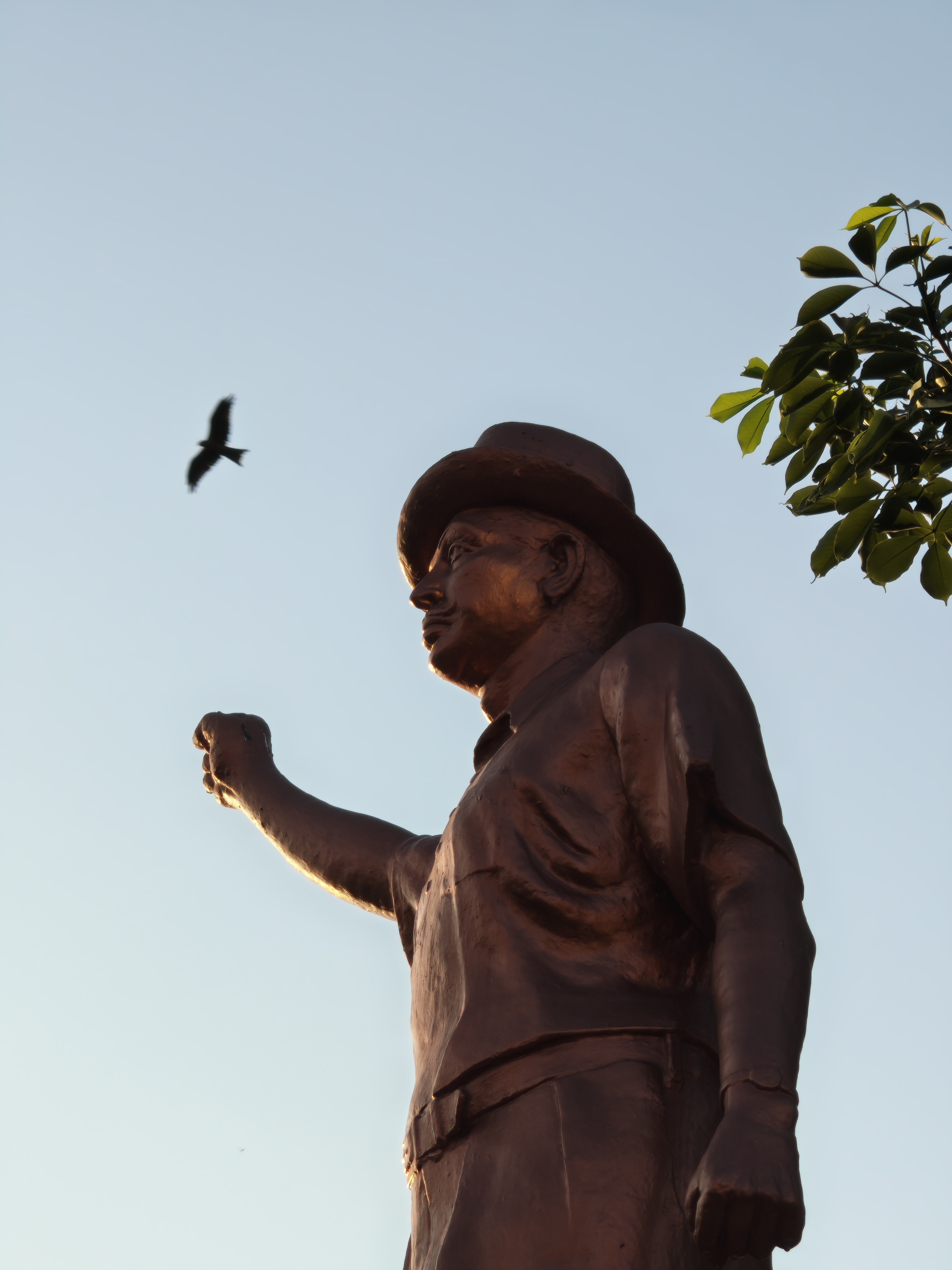 img-20250814-174736687.jpg {banner}