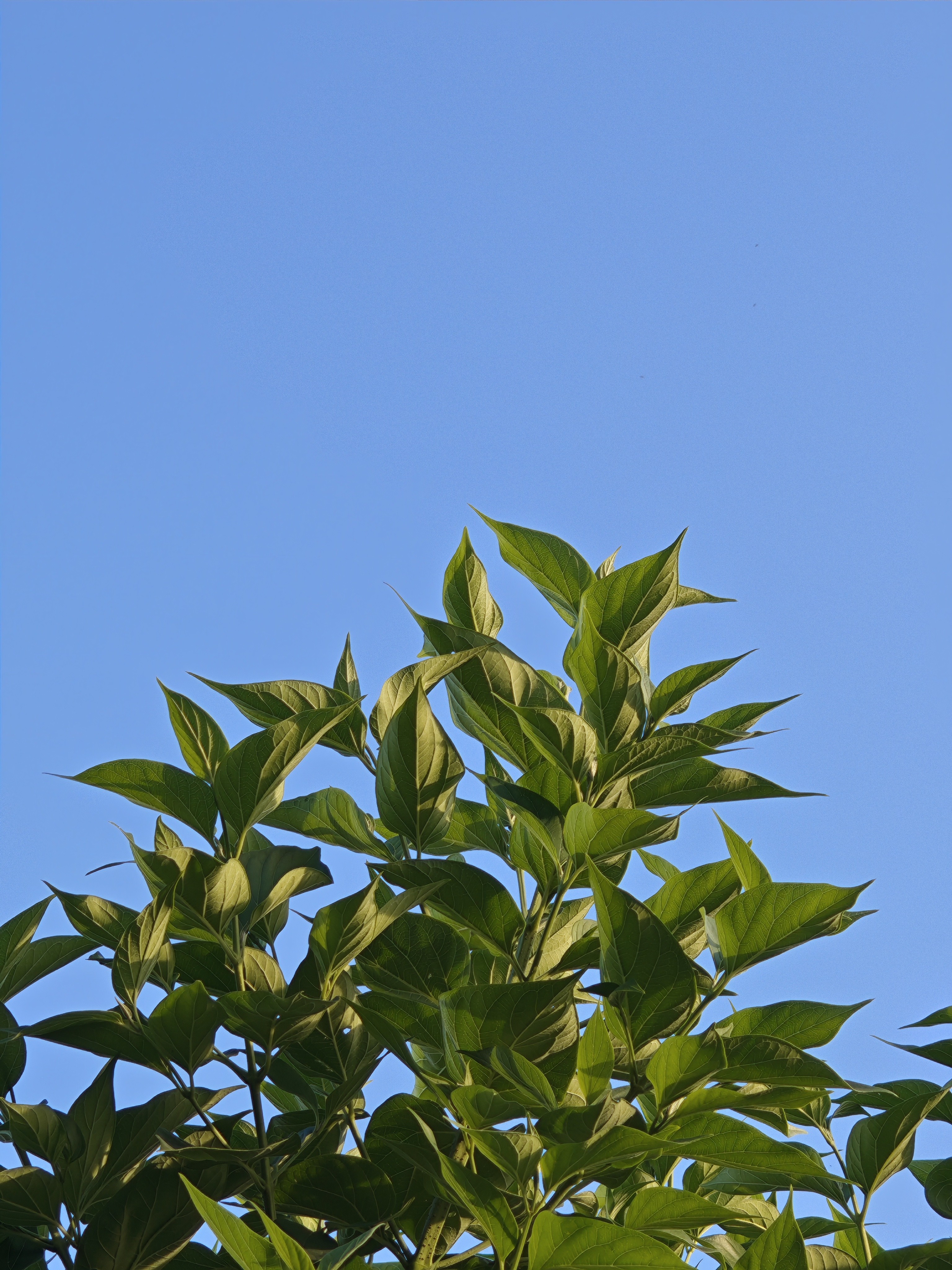 img-20250816-171035529.jpg {banner}