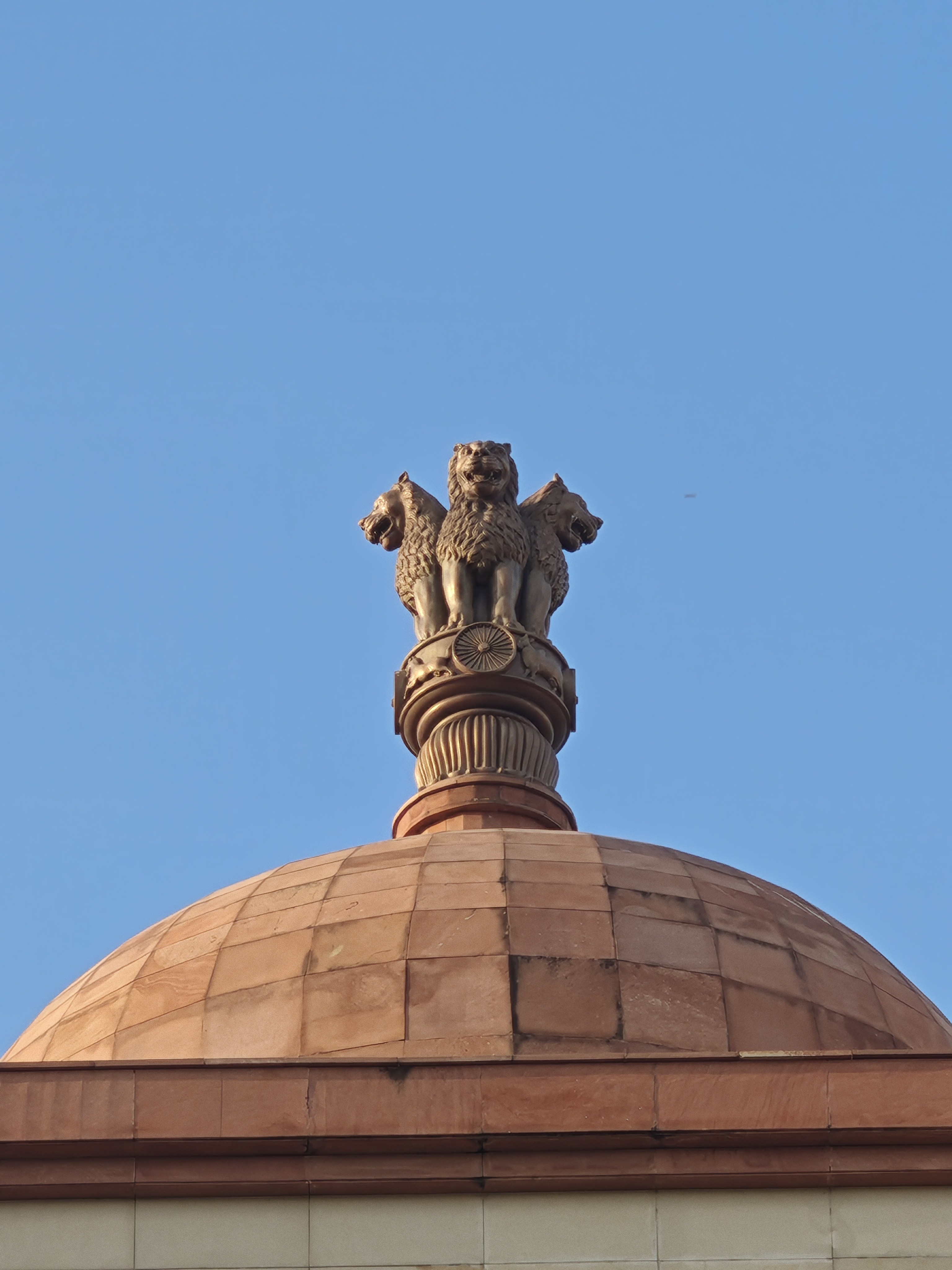 img-20250815-173108805.jpg {banner}