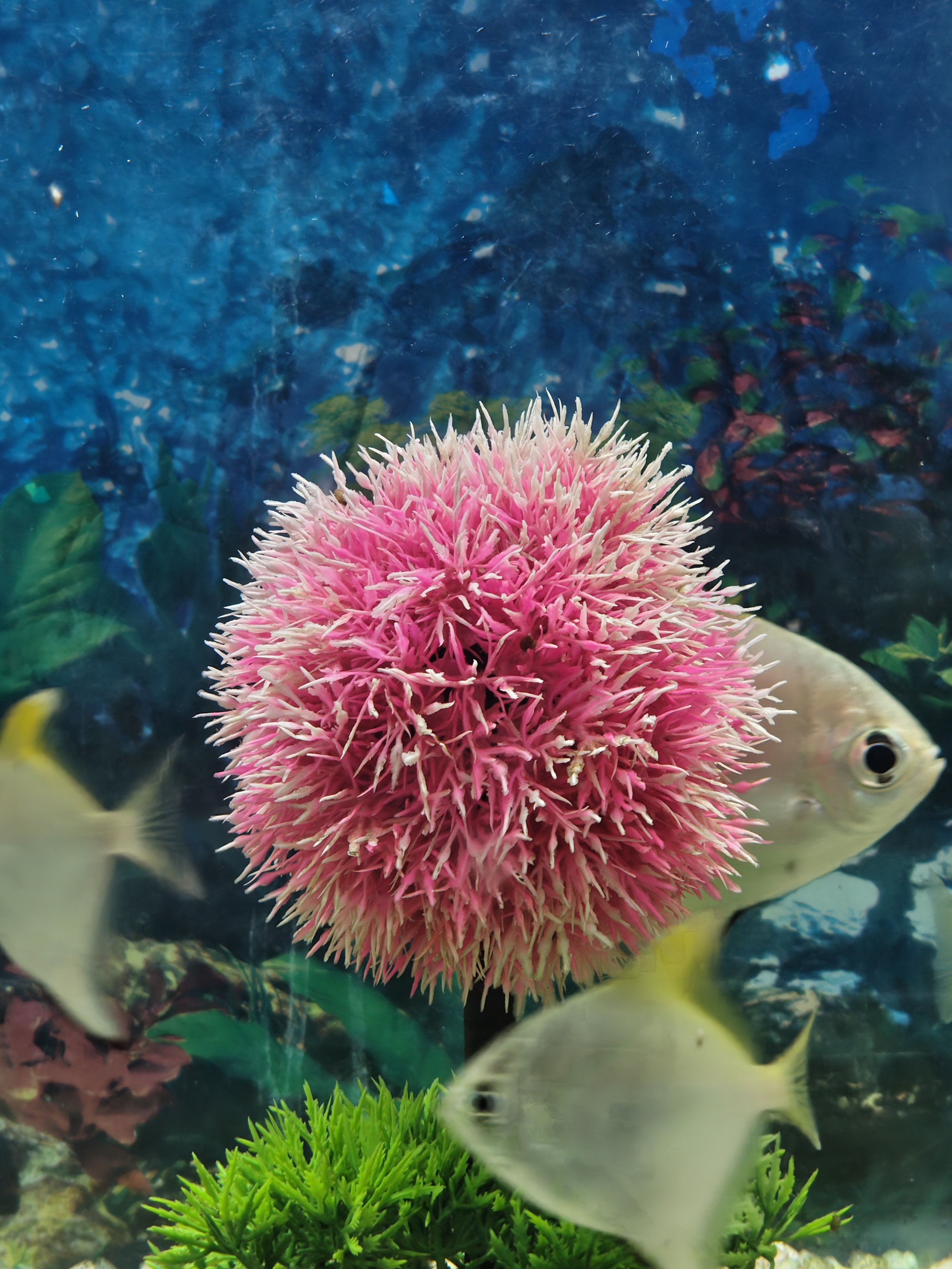 img-20250802-160935055.jpg {banner}