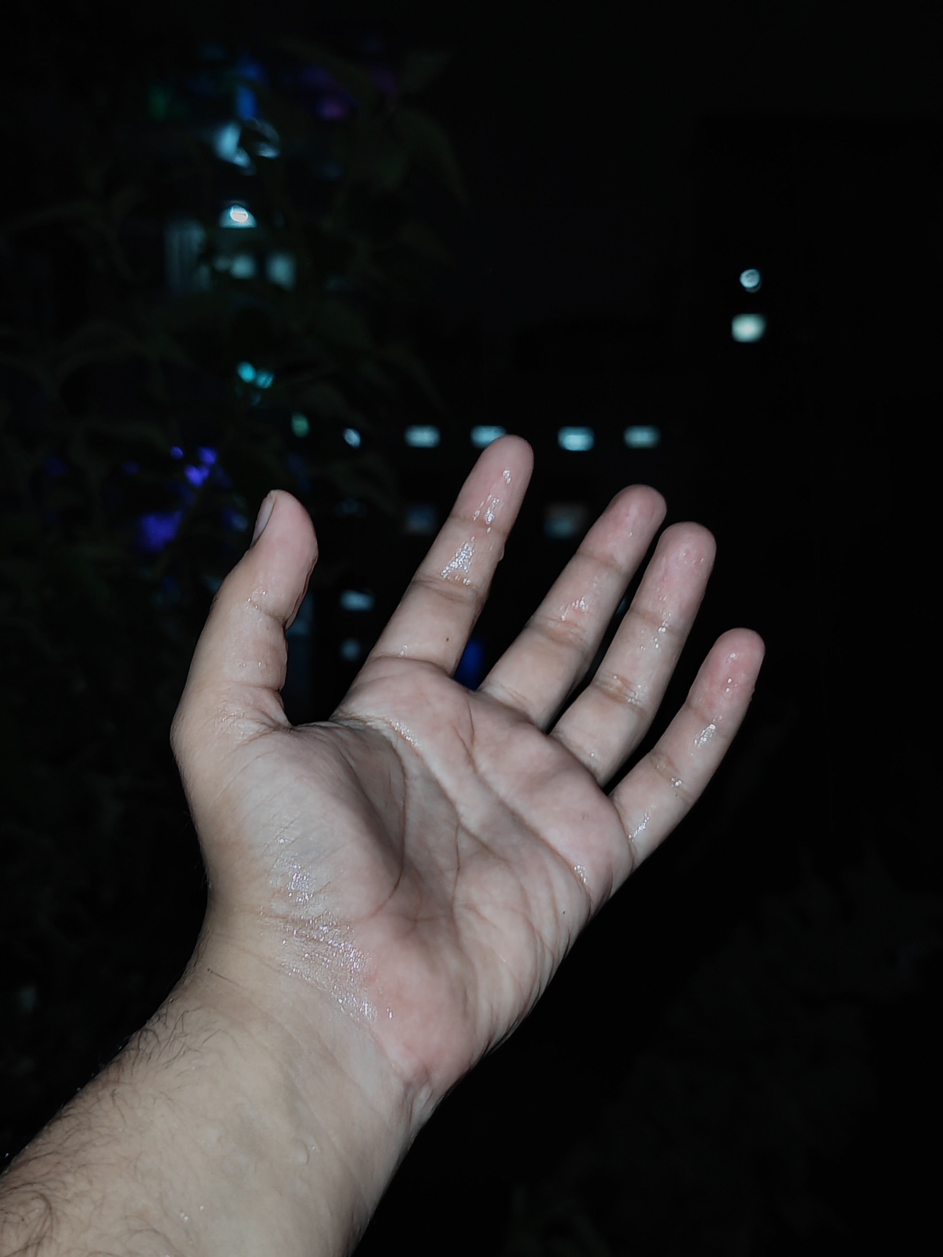 img-20250808-221132222.jpg {banner}