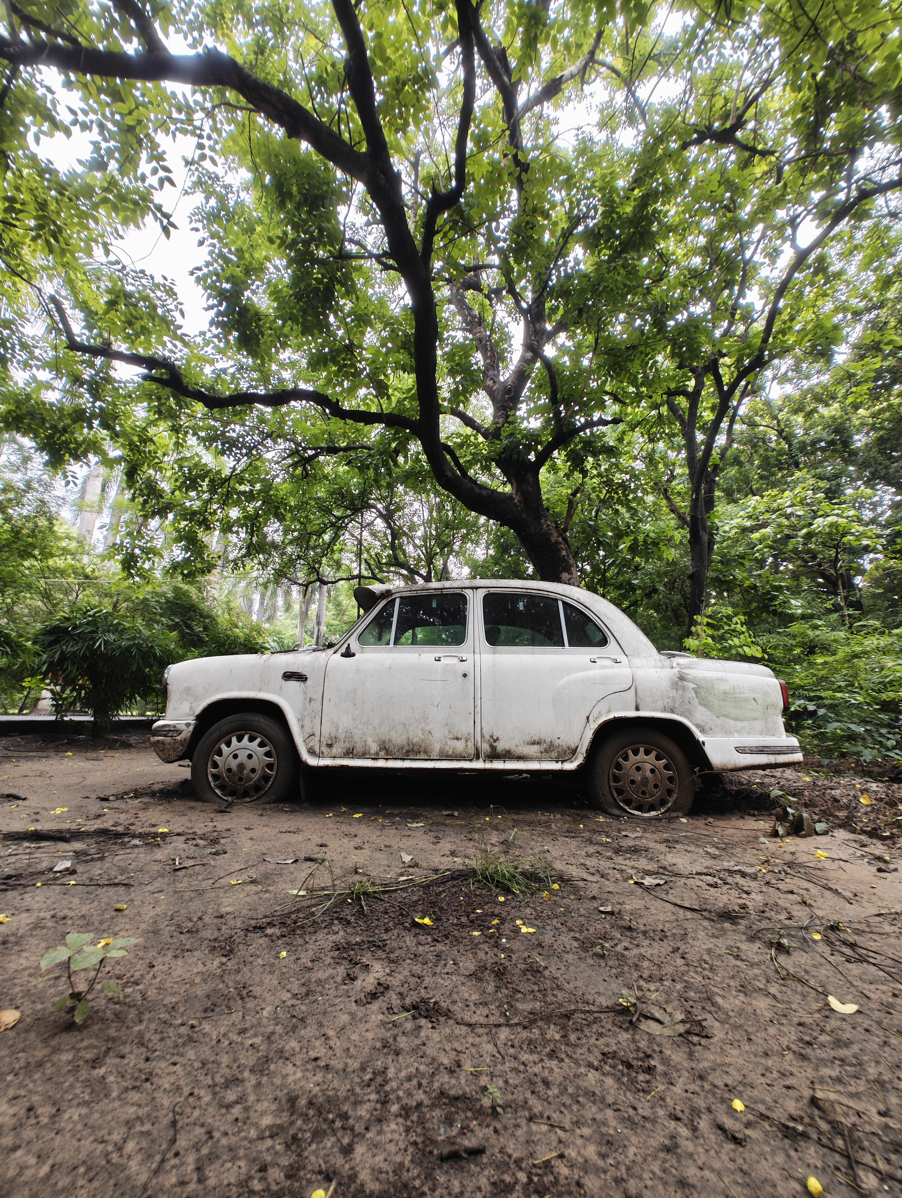 img-20250802-151953875.jpg {banner}