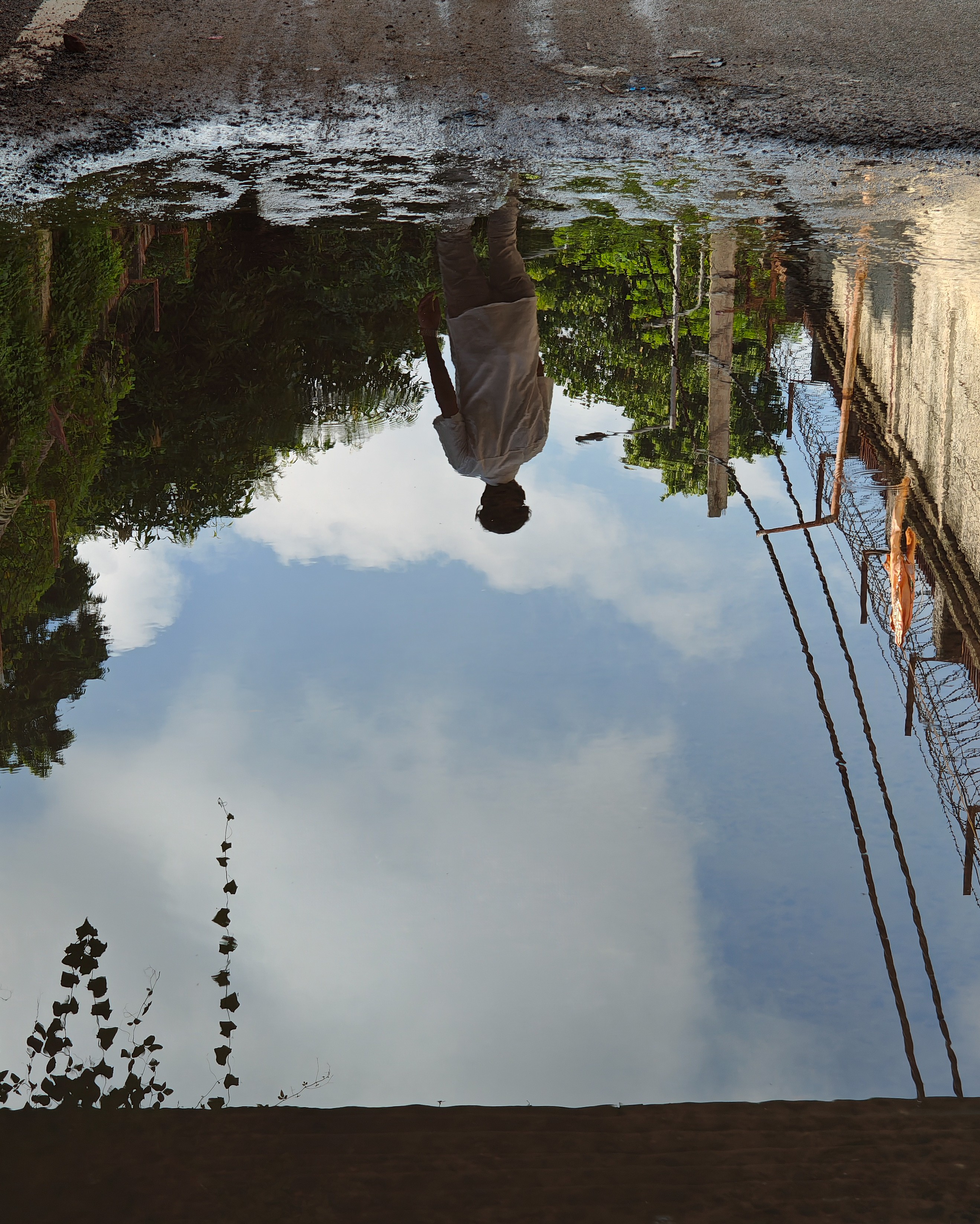 img-20250815-081953385.jpg {banner}