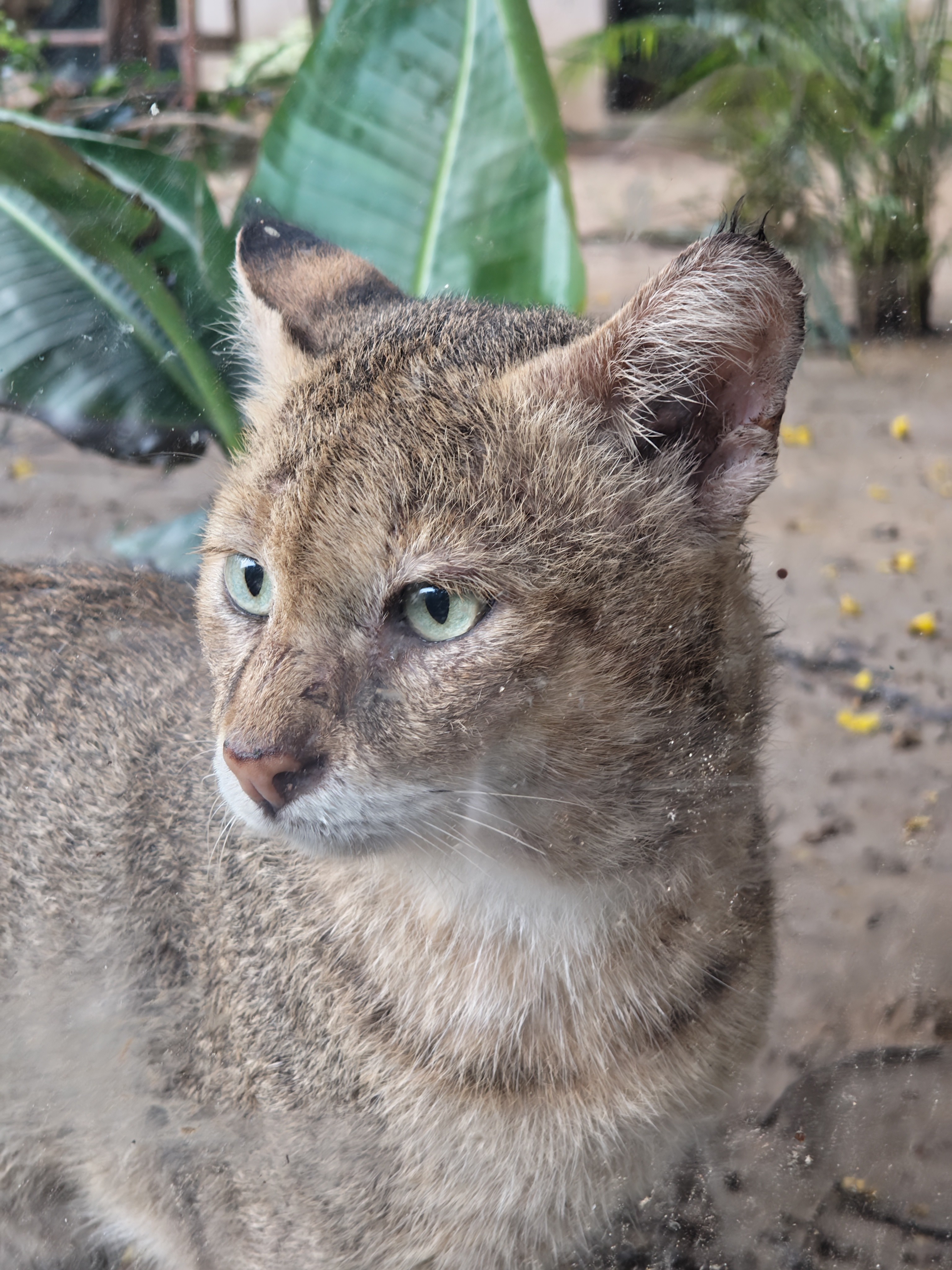 img-20250802-172210924.jpg {banner}