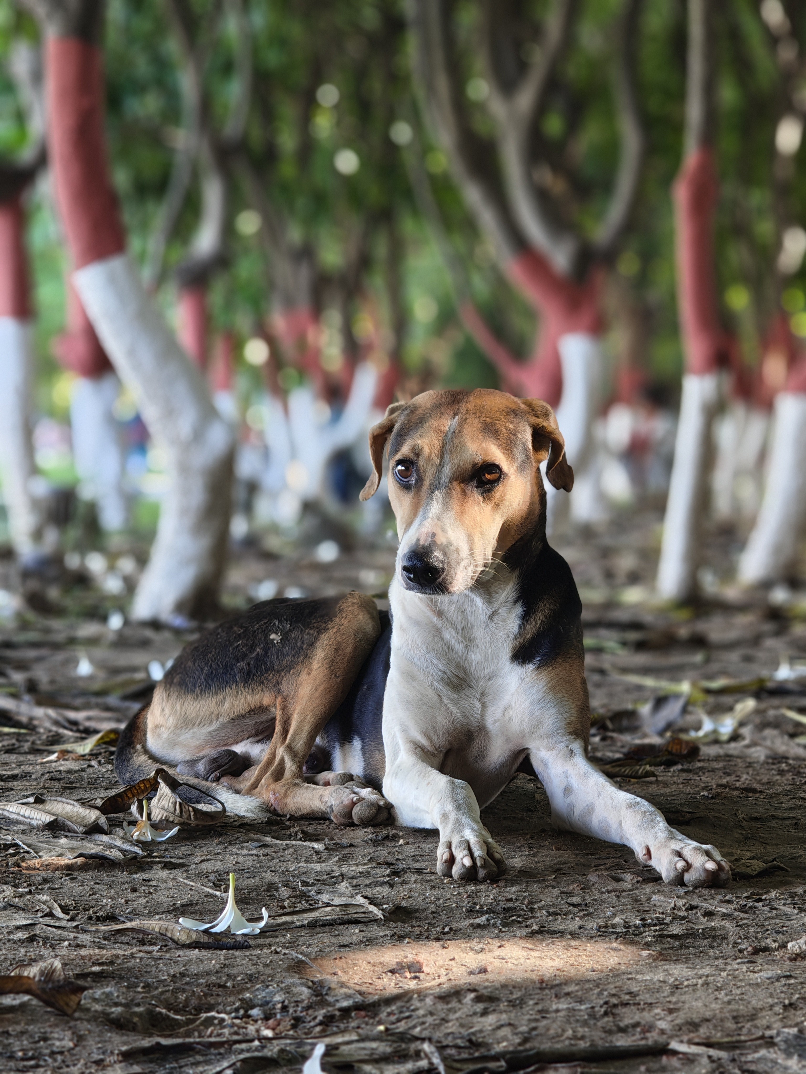 img-20250814-155021666.jpg {banner}