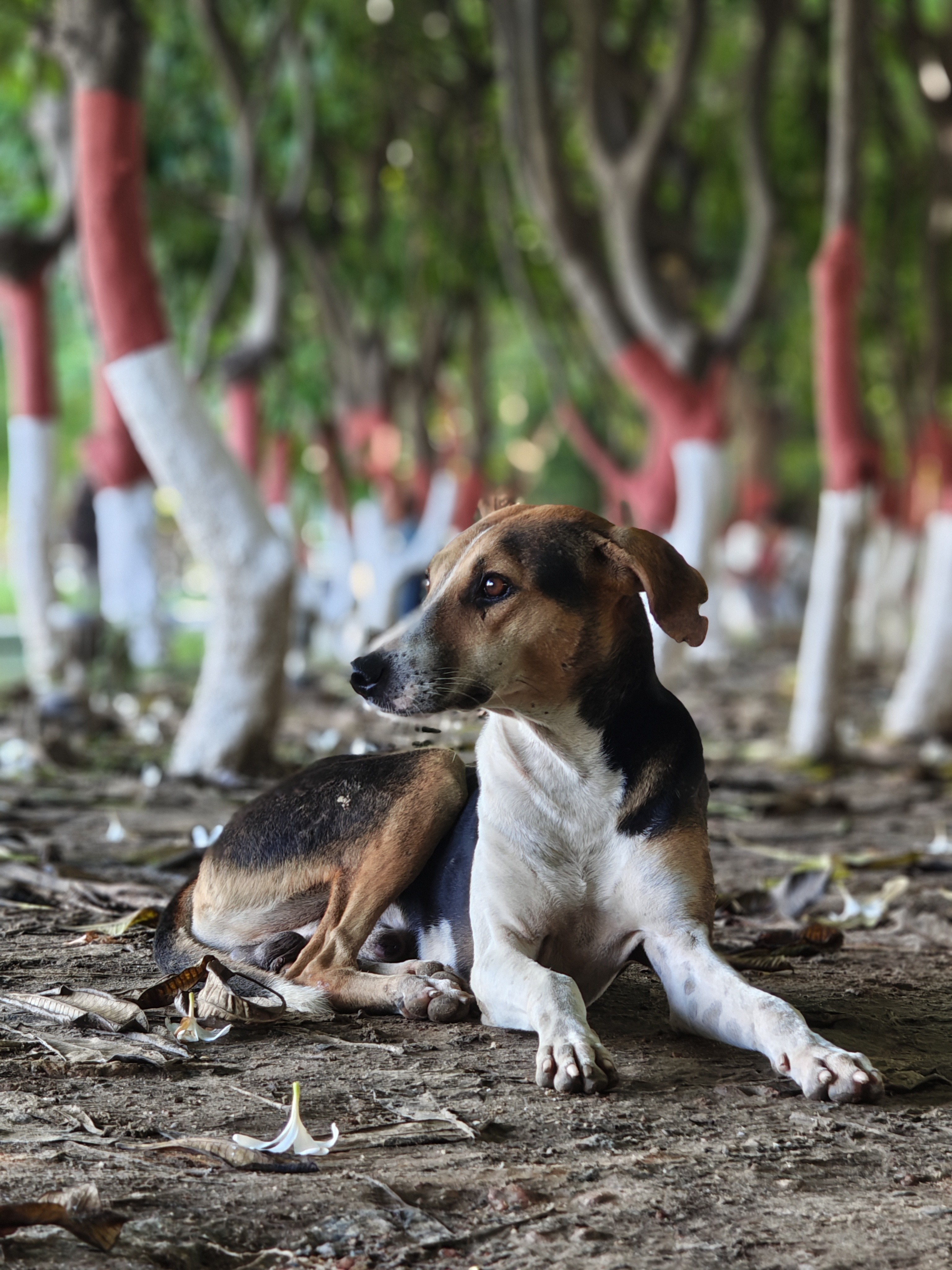 img-20250814-154959355.jpg {banner}