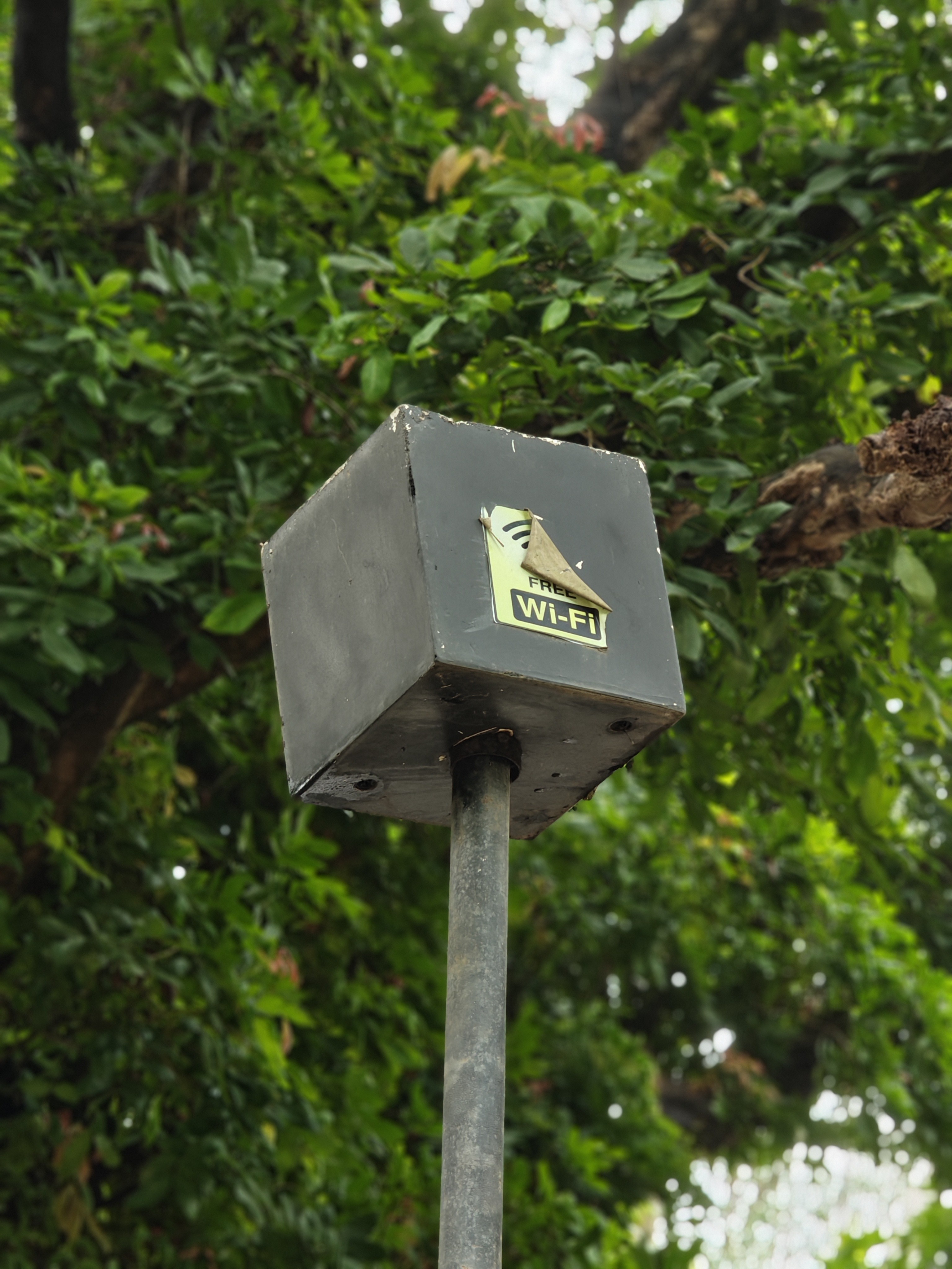 img-20250802-141011230.jpg {banner}