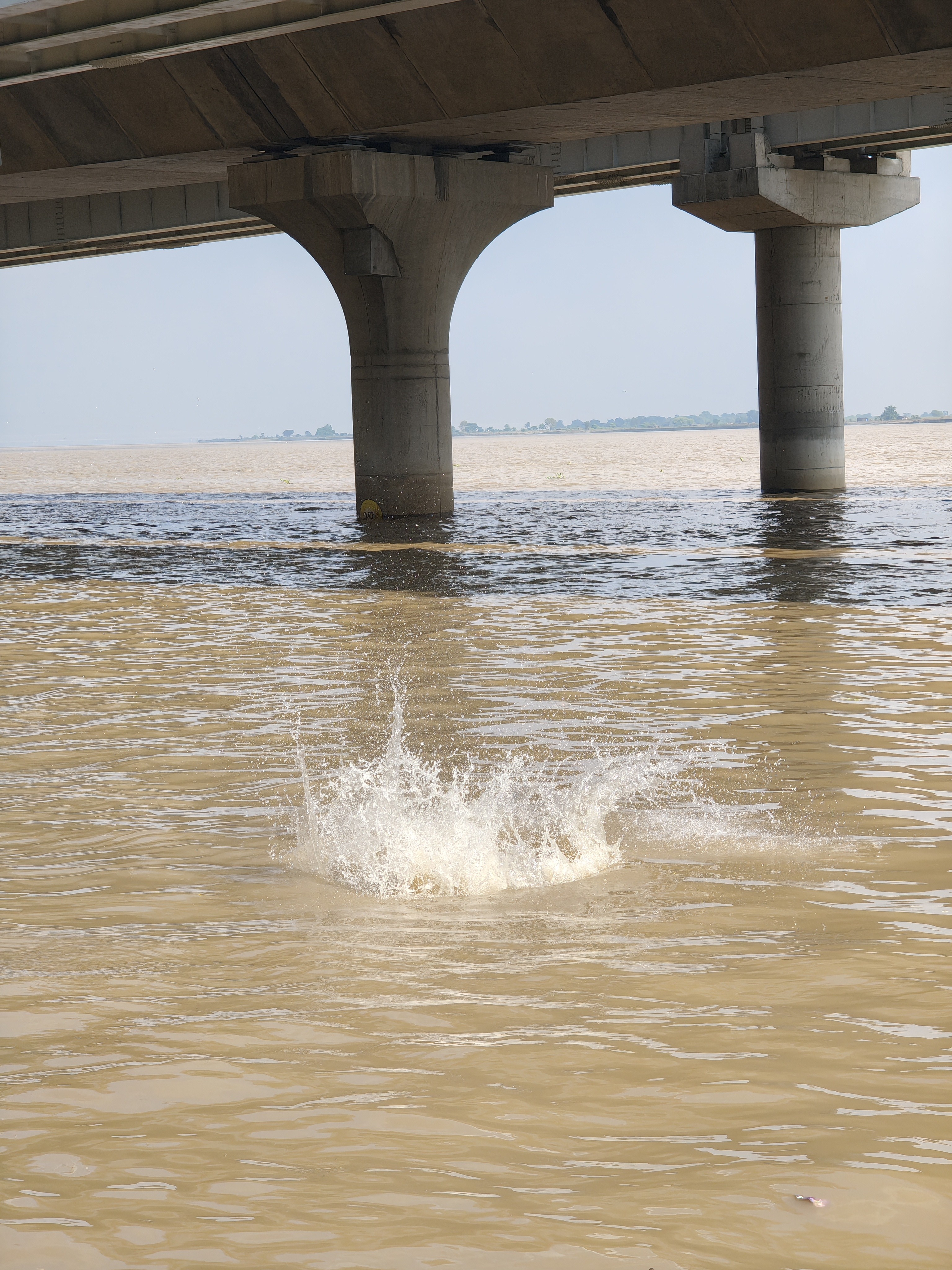 img-20250815-081659650.jpg {banner}