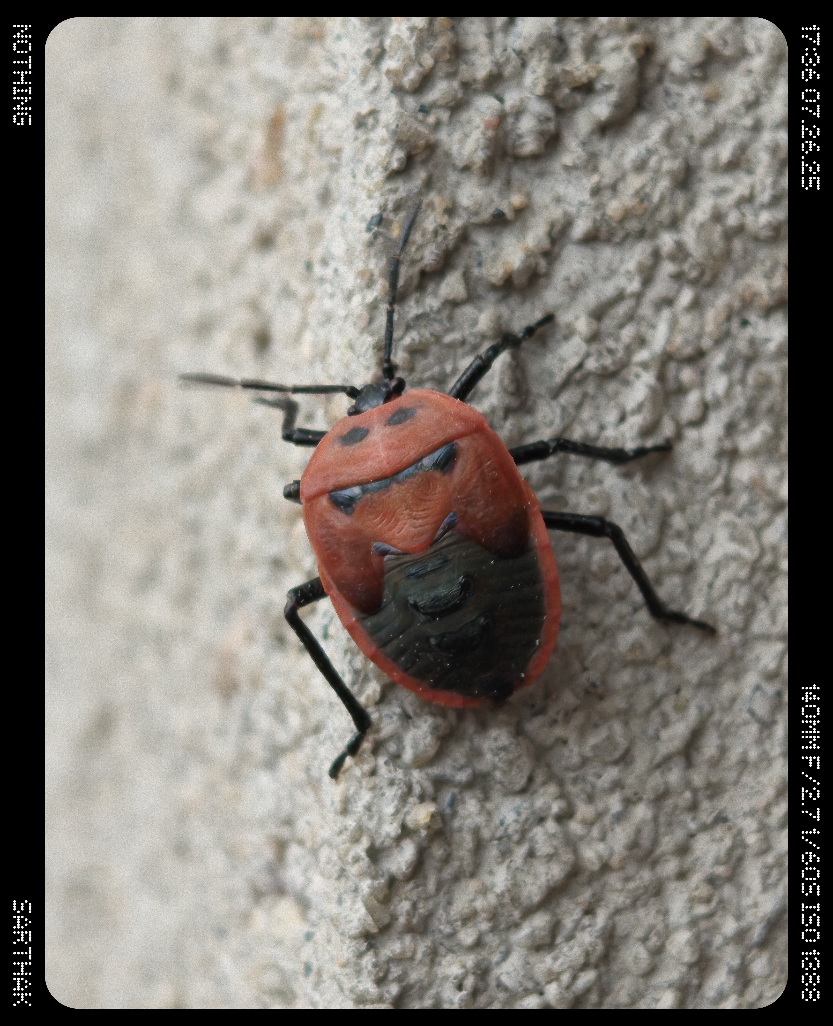 img-20250726-173653531.jpg {banner}