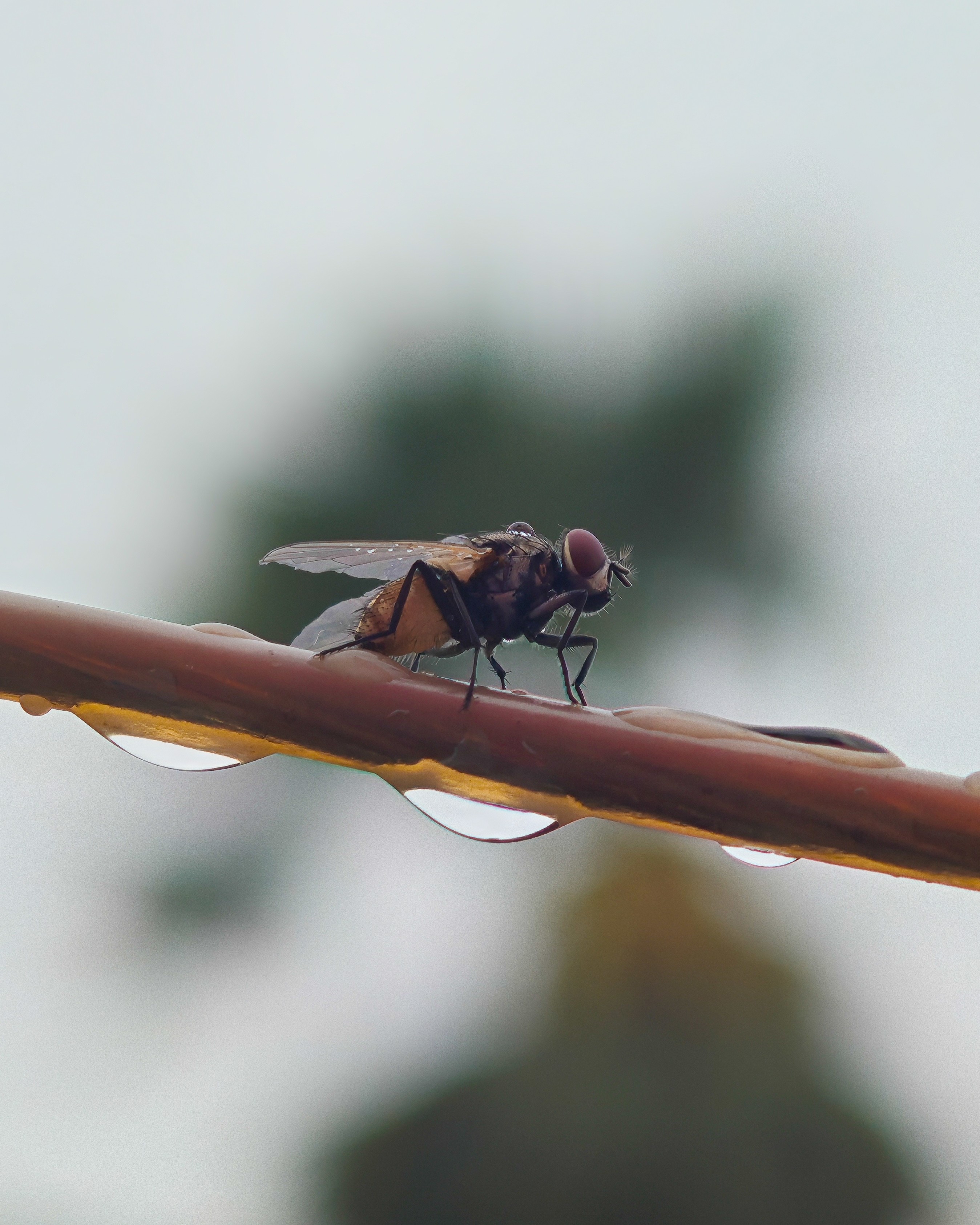 img-20250813-103520018-1.jpg {banner}