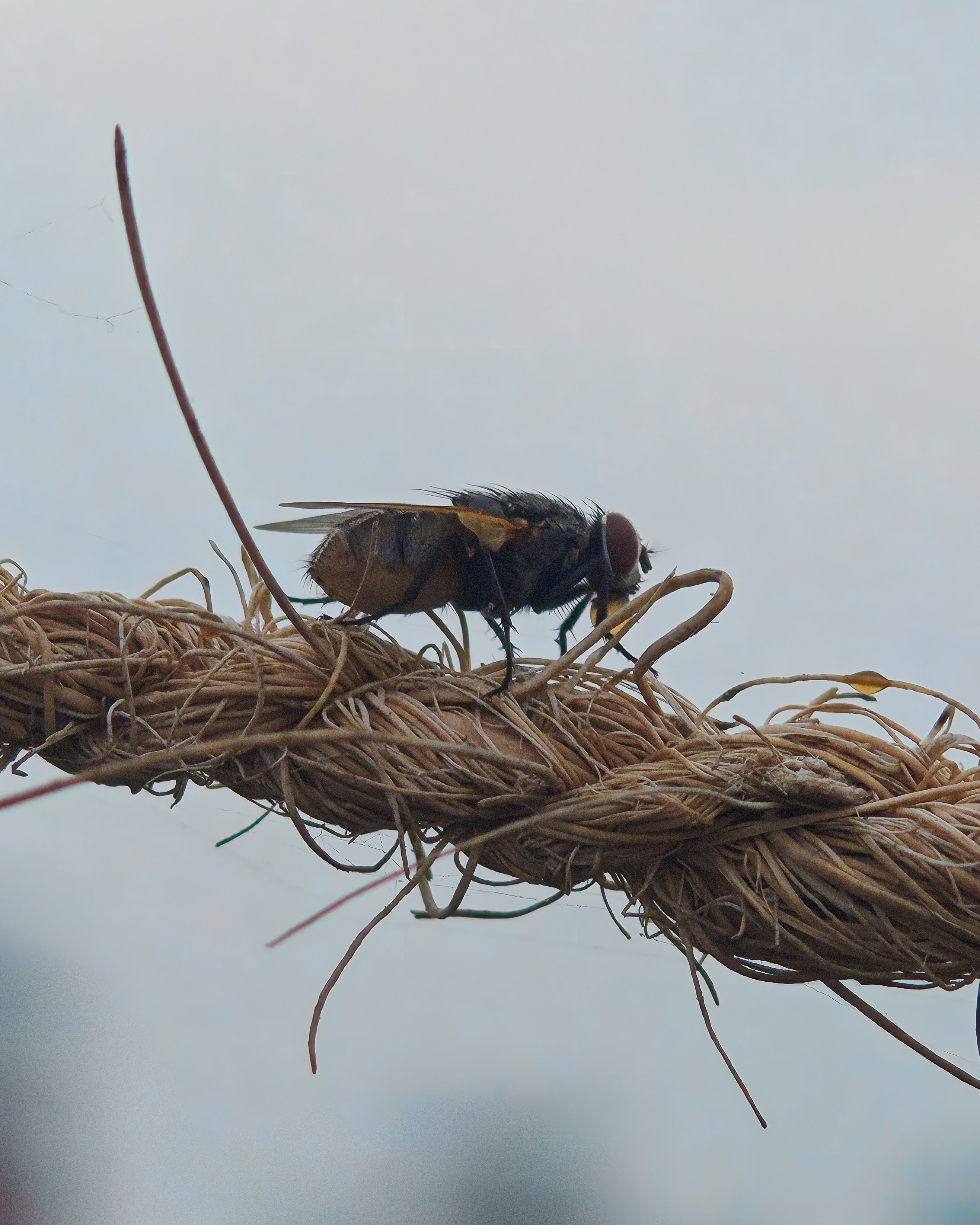 img-20250811-181100719.jpg {banner}