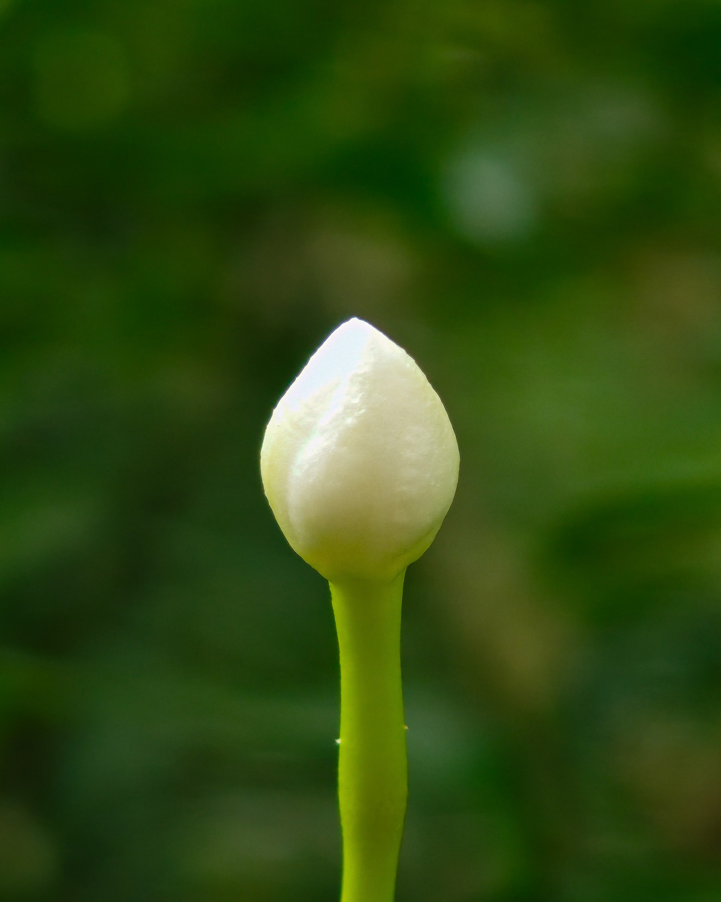 img-20250802-155333422-1.jpg {banner}