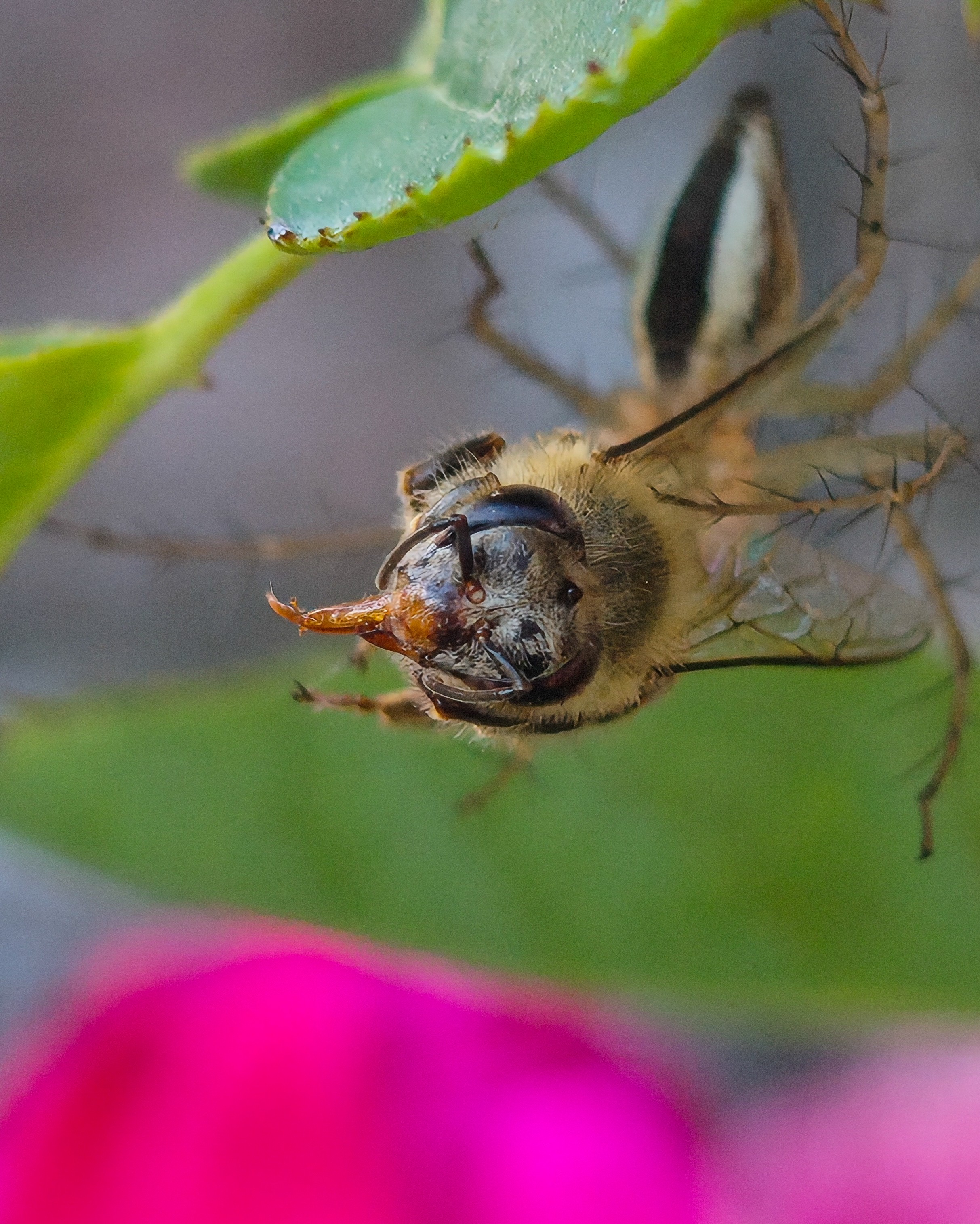 img-20250816-180633659.jpg {banner}