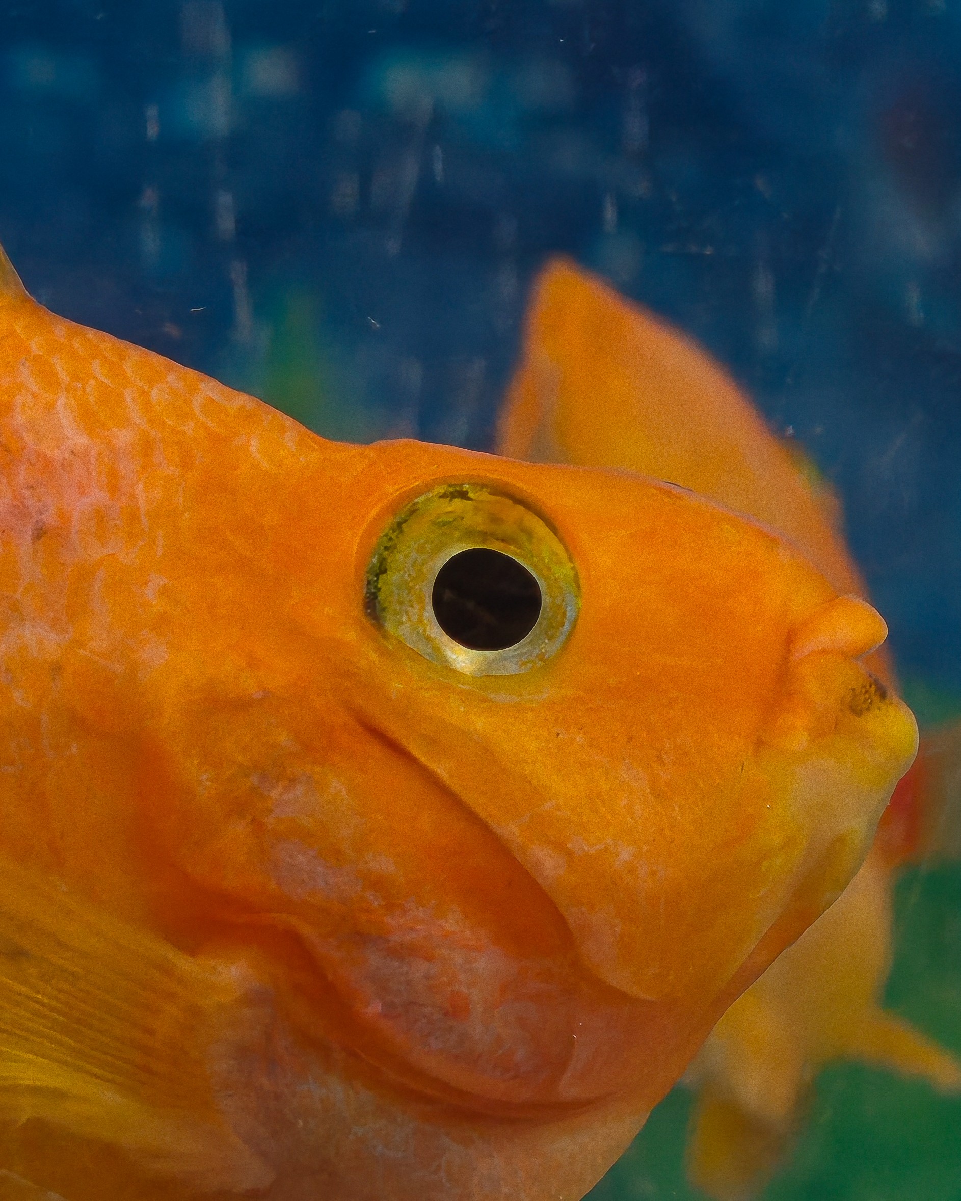 img-20250802-161620802-1.jpg {banner}