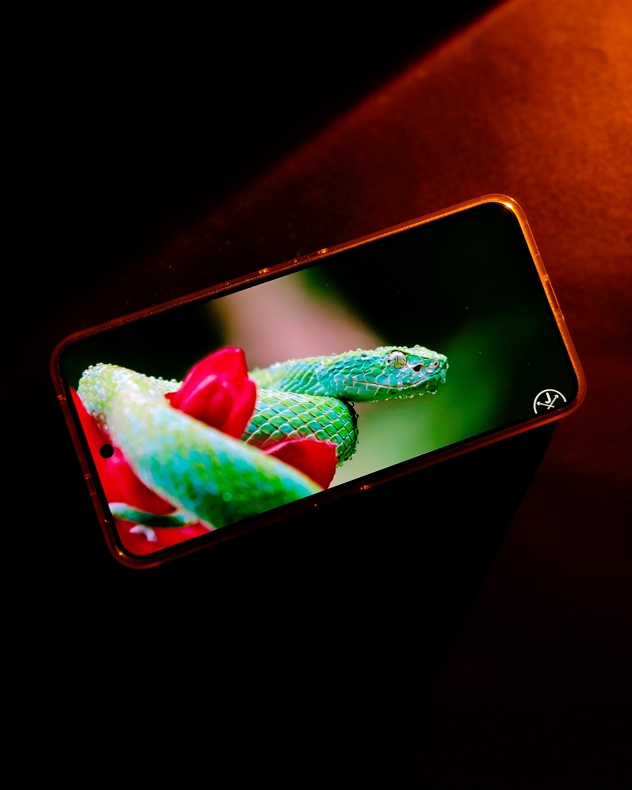 img20250812191530.jpg {banner}