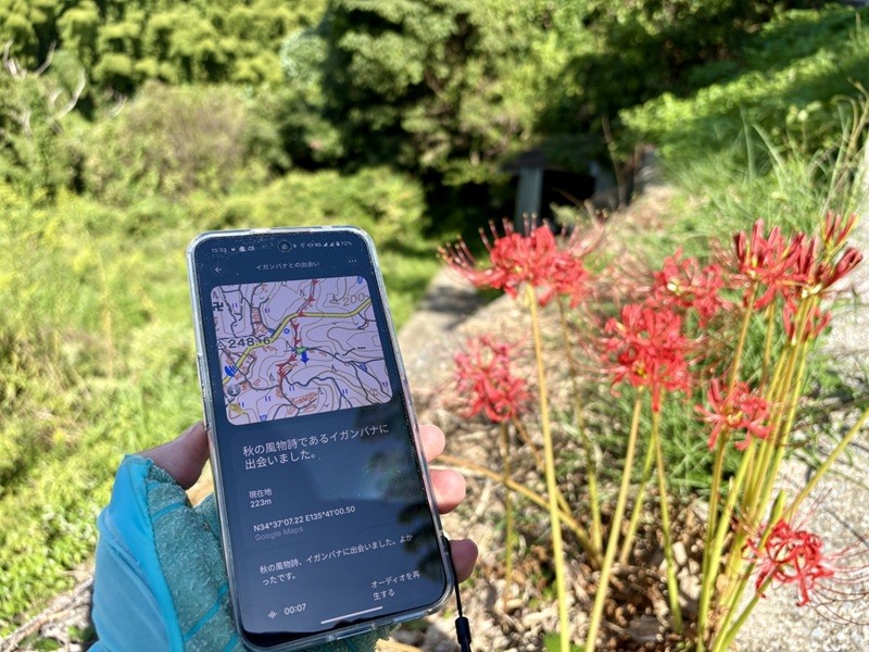 img-8170-s.jpg {The Essential Space}