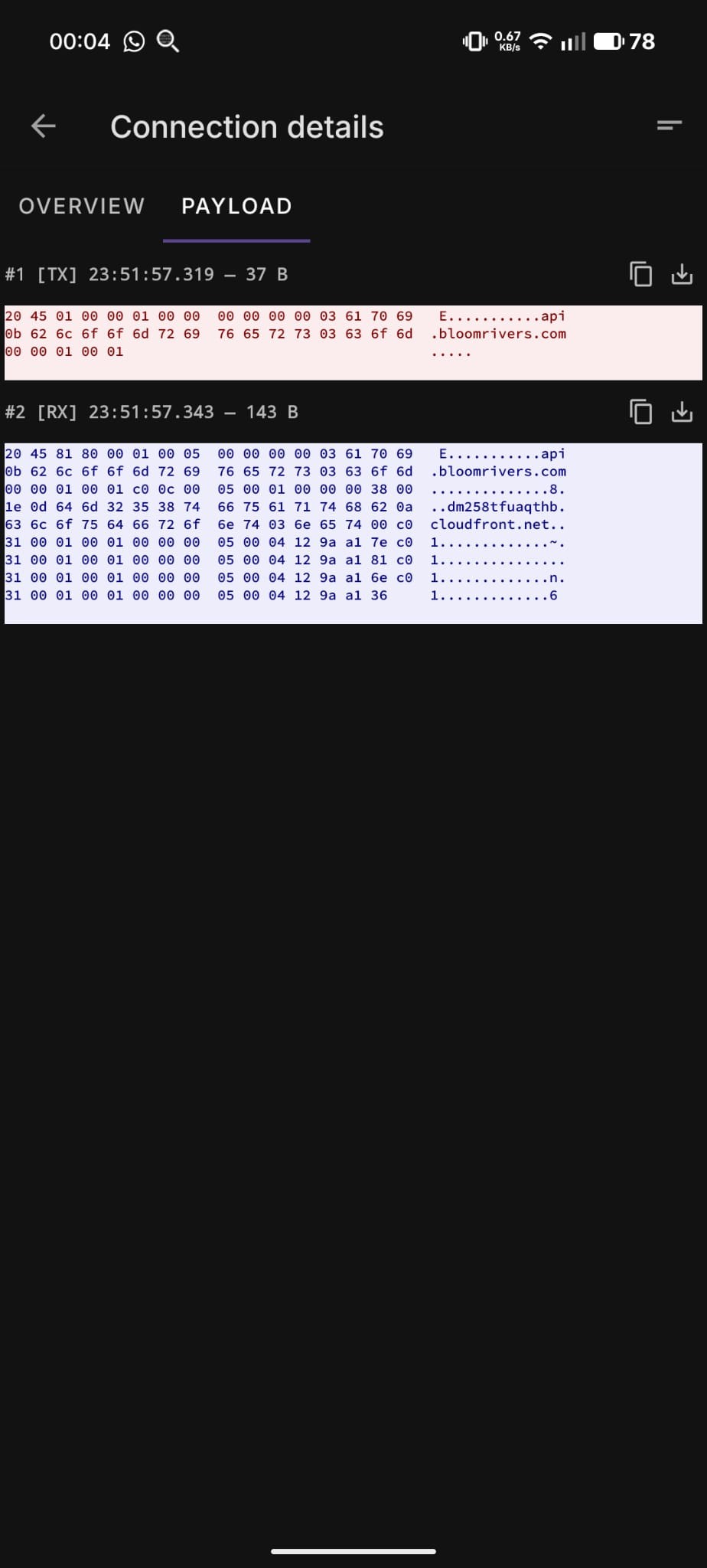 hexdump-dns.jpg